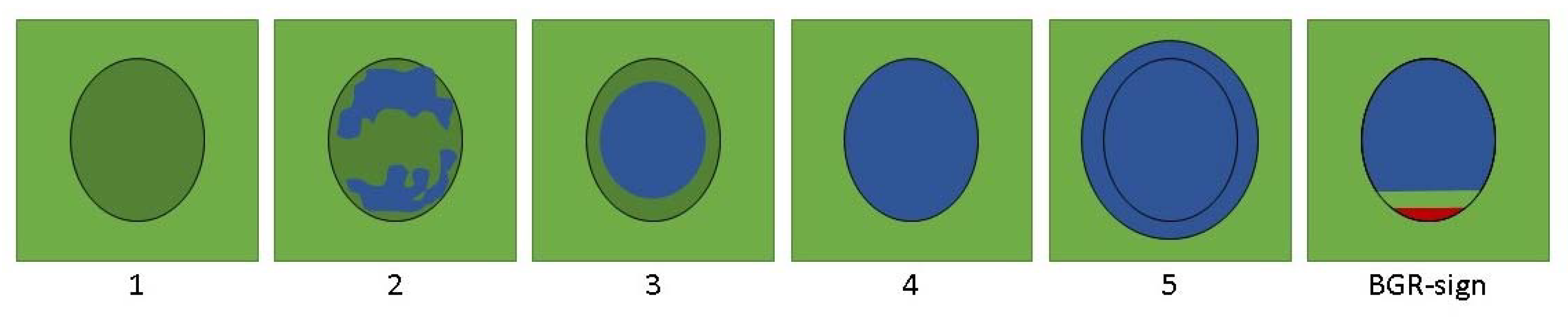 Diagnostics 10 00148 g003
