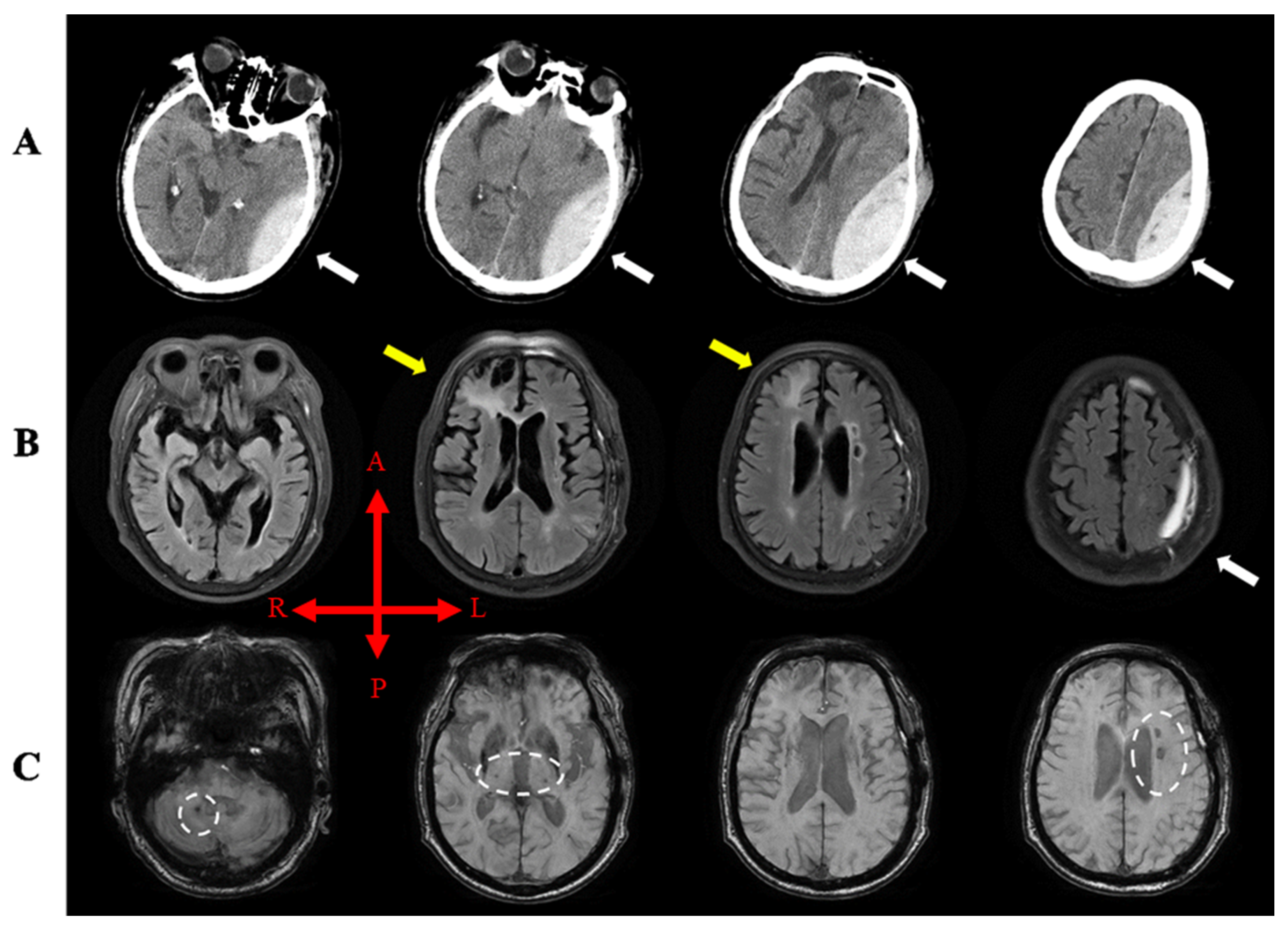 Diagnostics 10 00156 g001