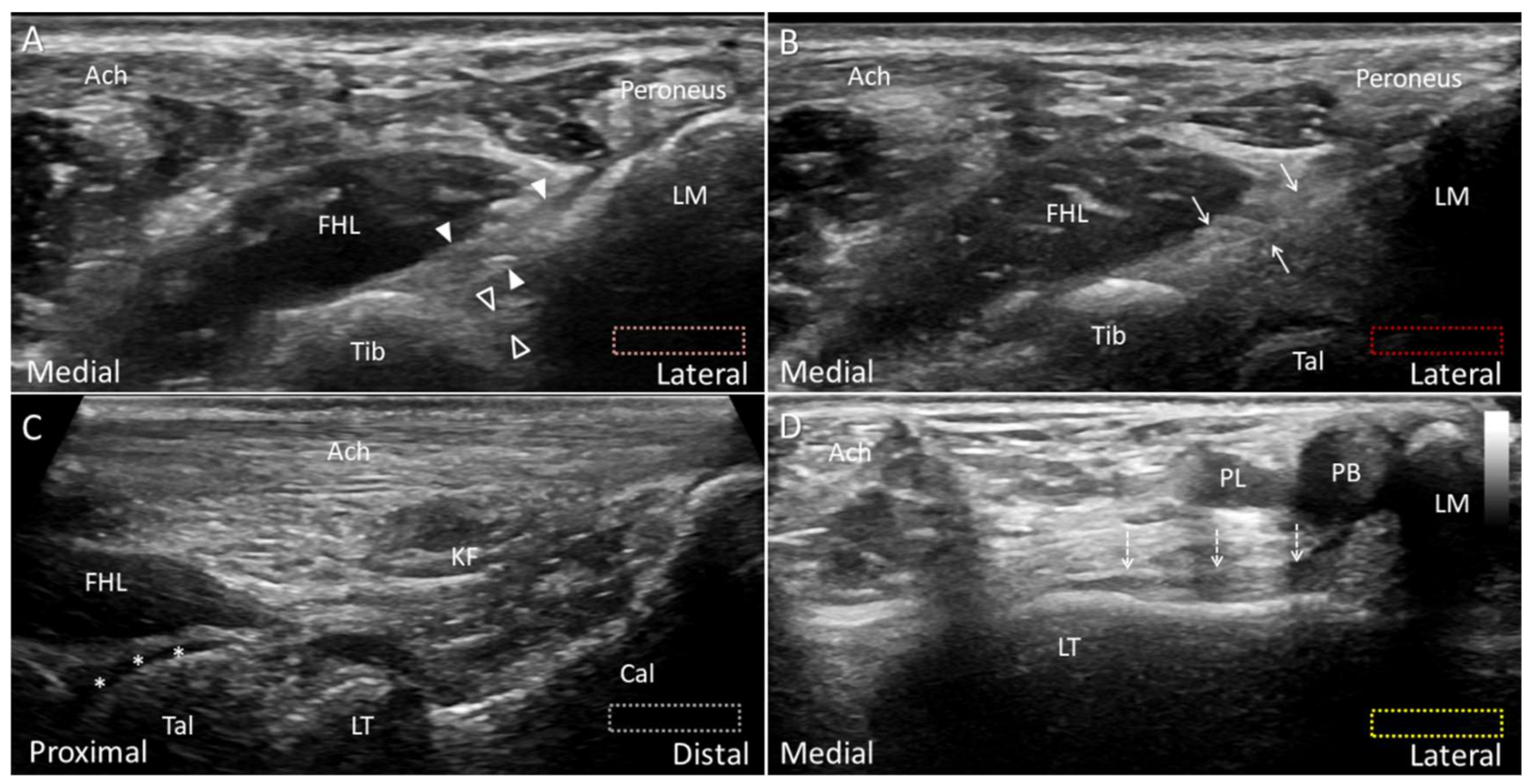 Diagnostics 10 00160 g005 Diagnostics 10 00160 g005