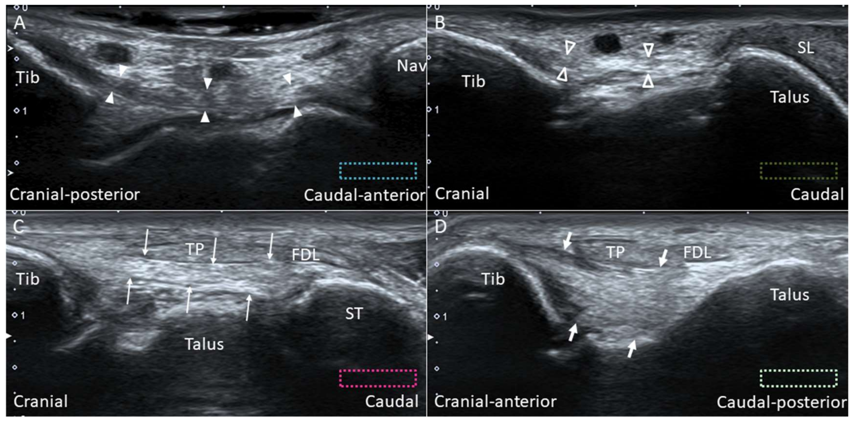 Diagnostics 10 00160 g009 Diagnostics 10 00160 g009