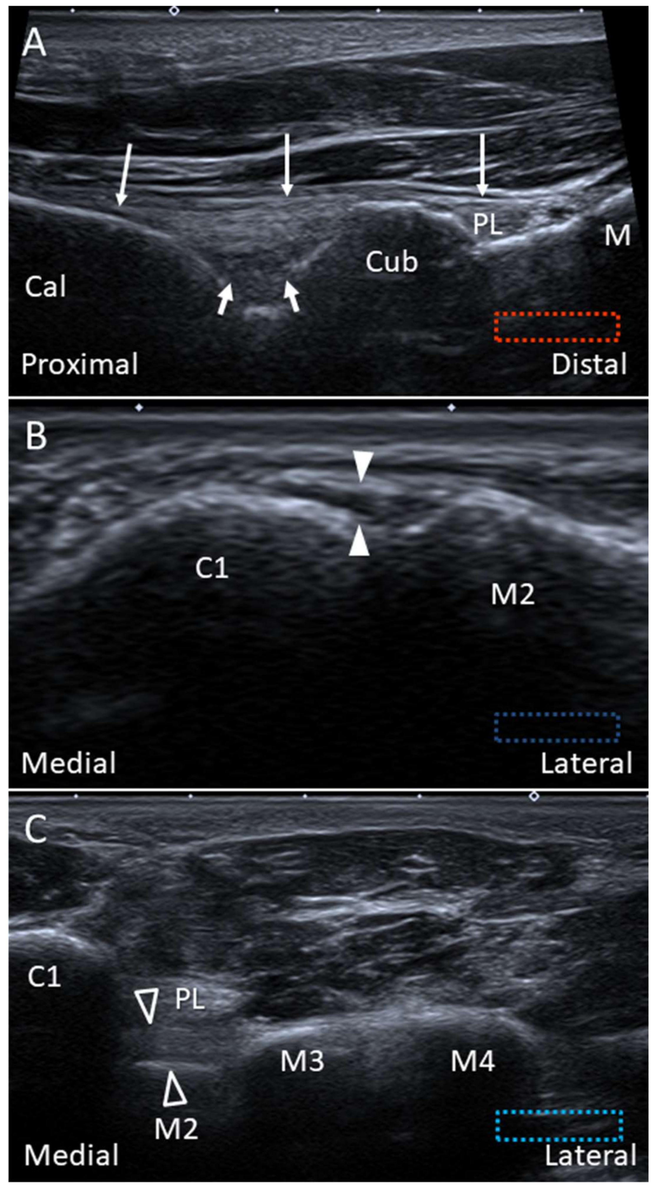 Diagnostics 10 00160 g013 Diagnostics 10 00160 g013