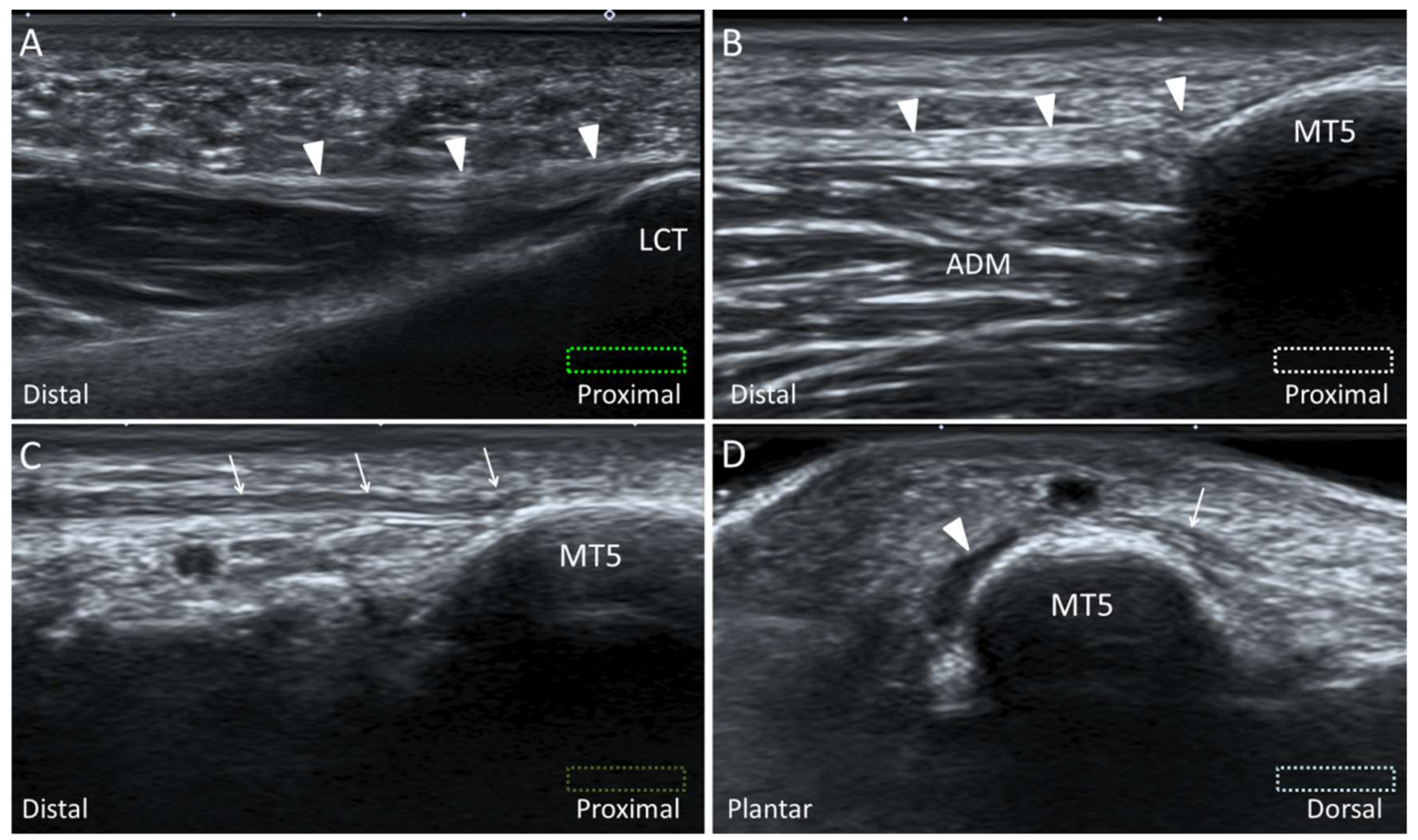 Diagnostics 10 00160 g015 Diagnostics 10 00160 g015