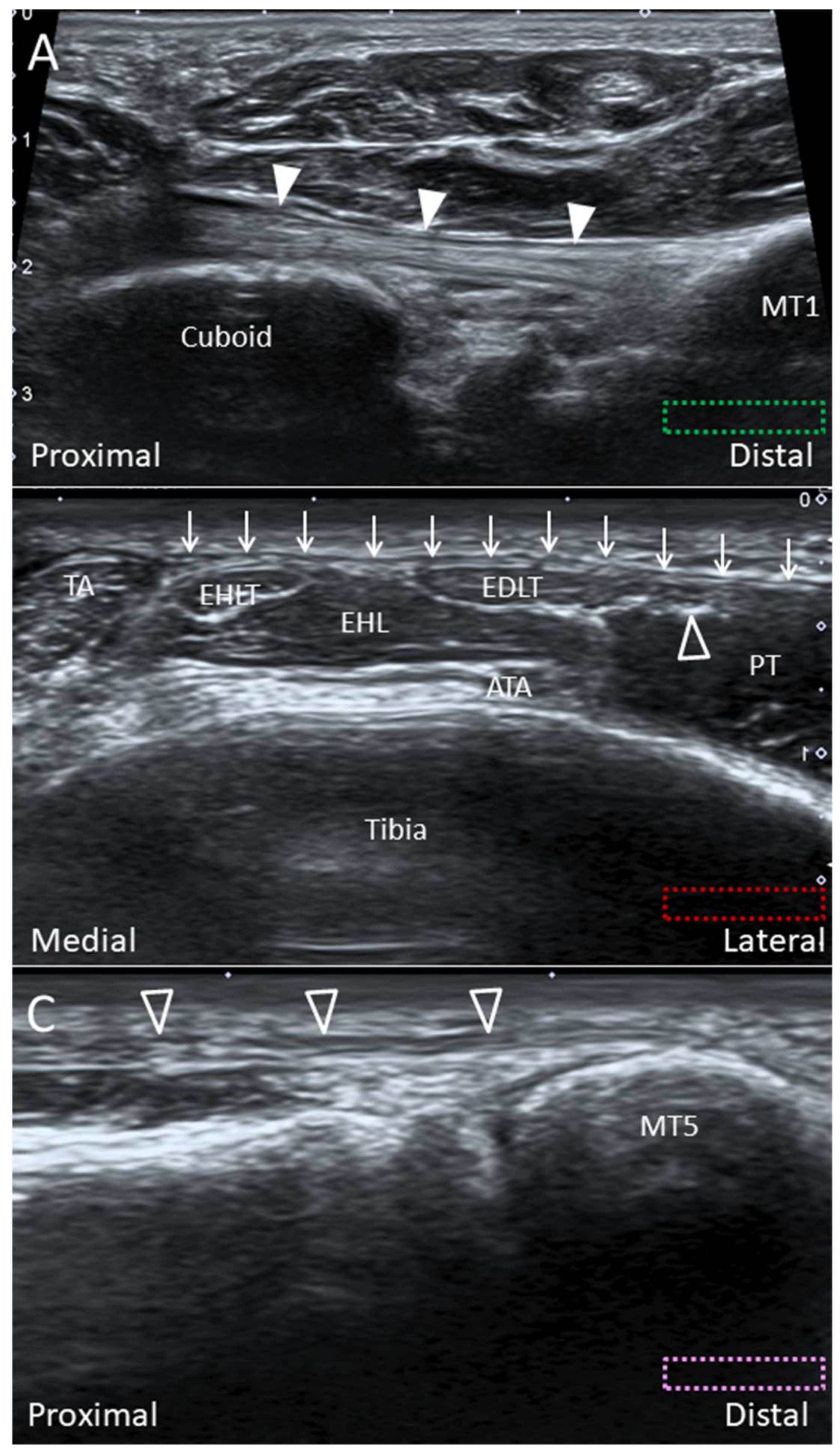 Diagnostics 10 00160 g020 Diagnostics 10 00160 g020