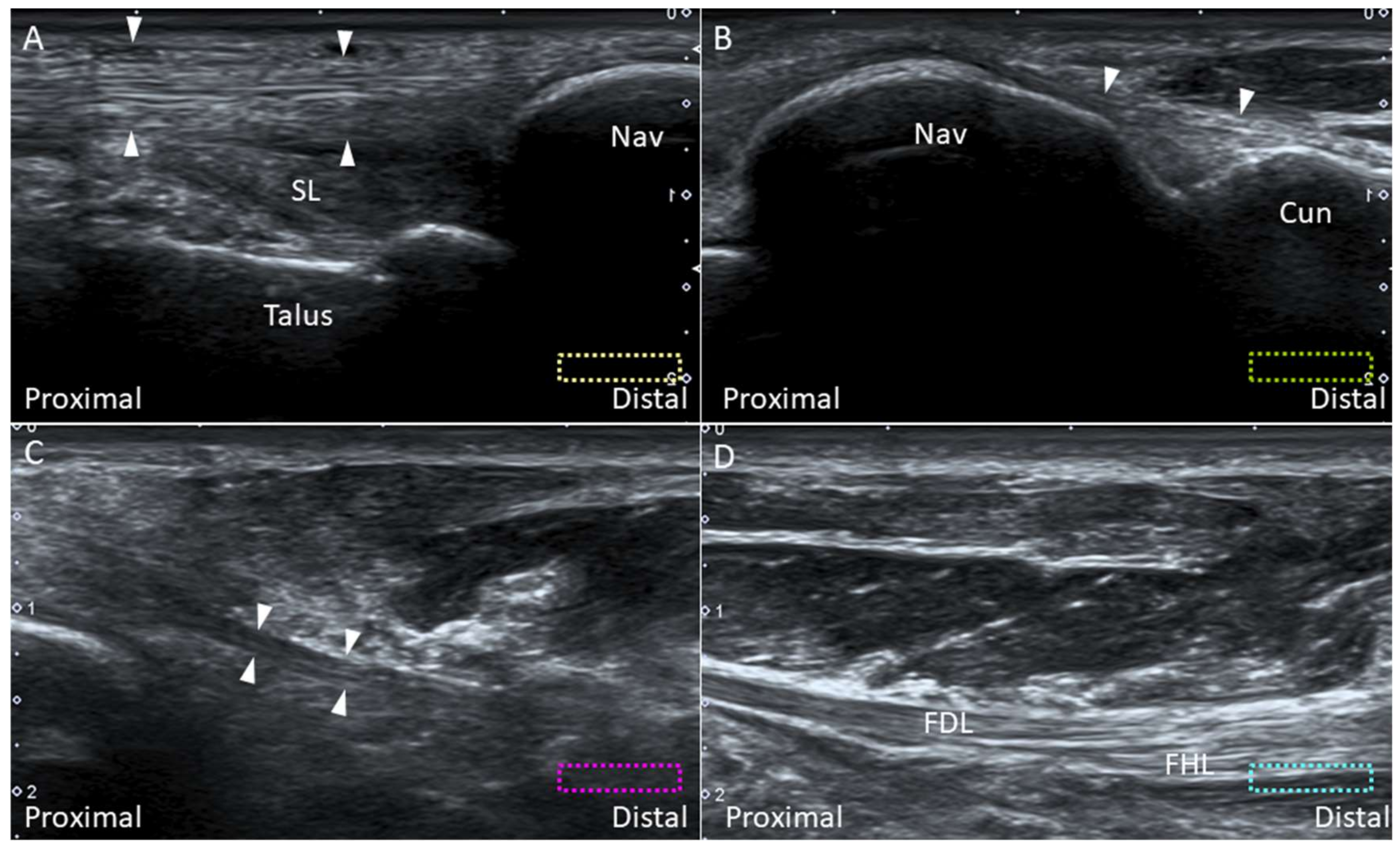Diagnostics 10 00160 g021 Diagnostics 10 00160 g021