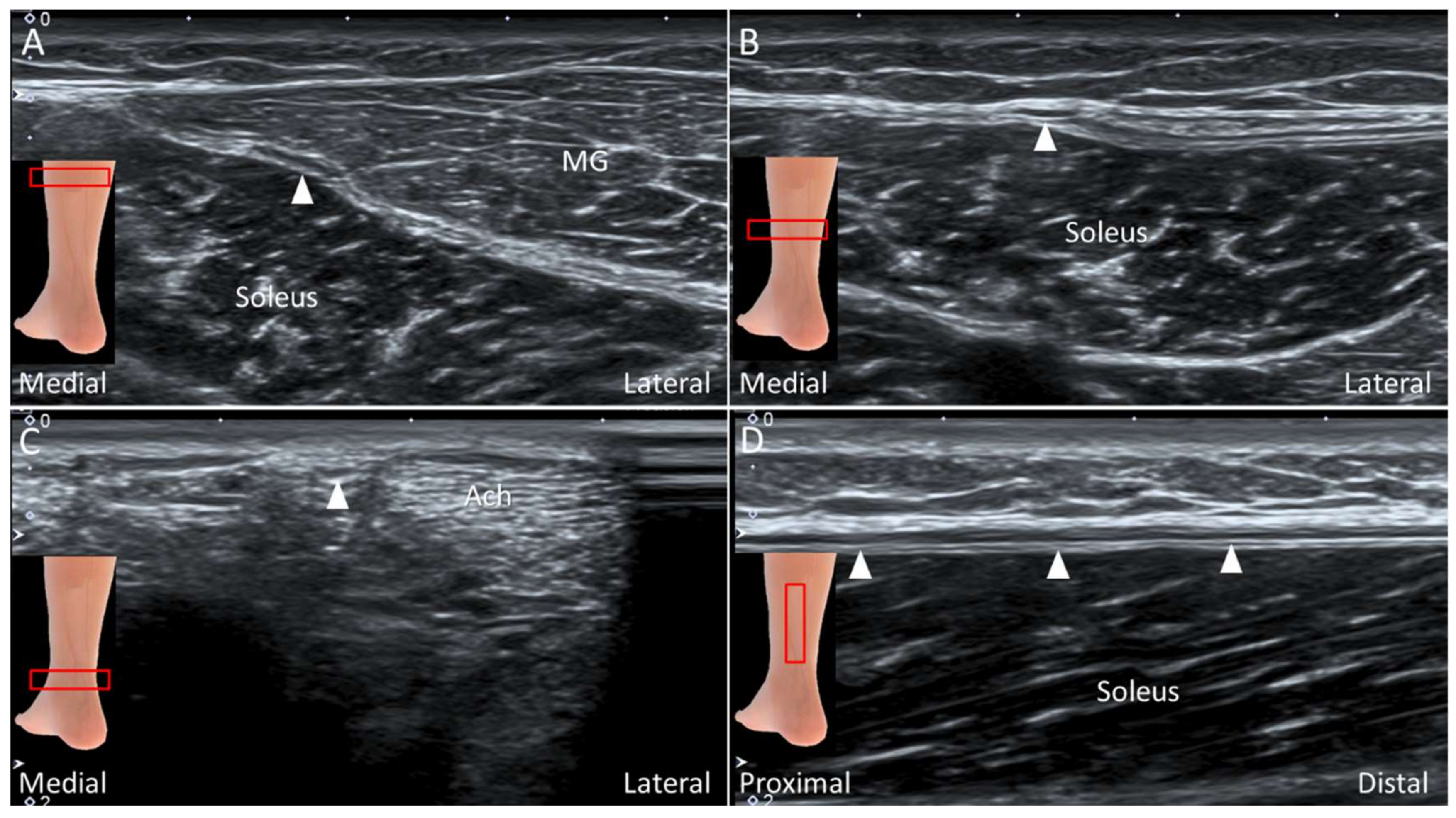 Diagnostics 10 00160 g023 Diagnostics 10 00160 g023
