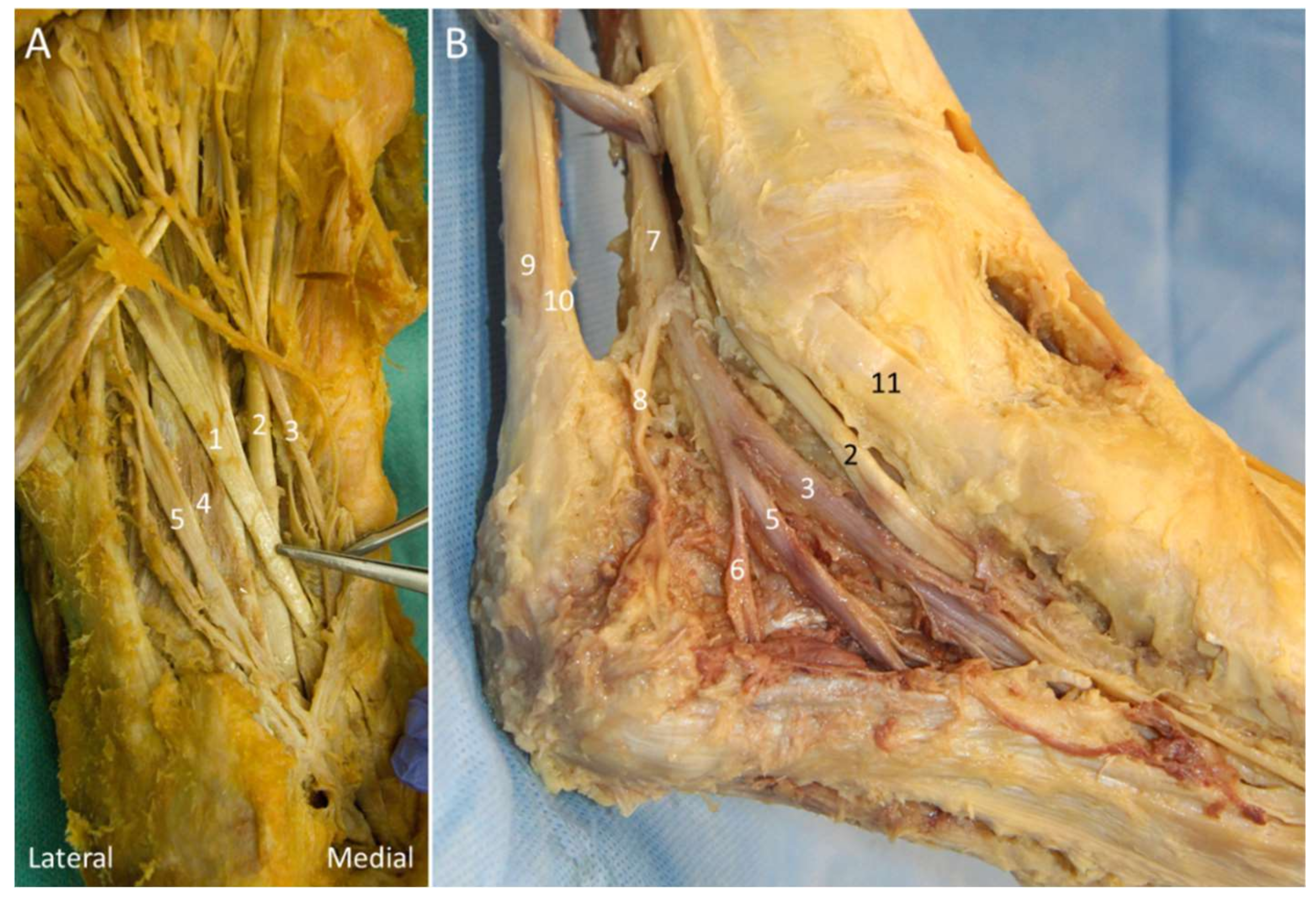 Diagnostics 10 00160 g024 Diagnostics 10 00160 g024