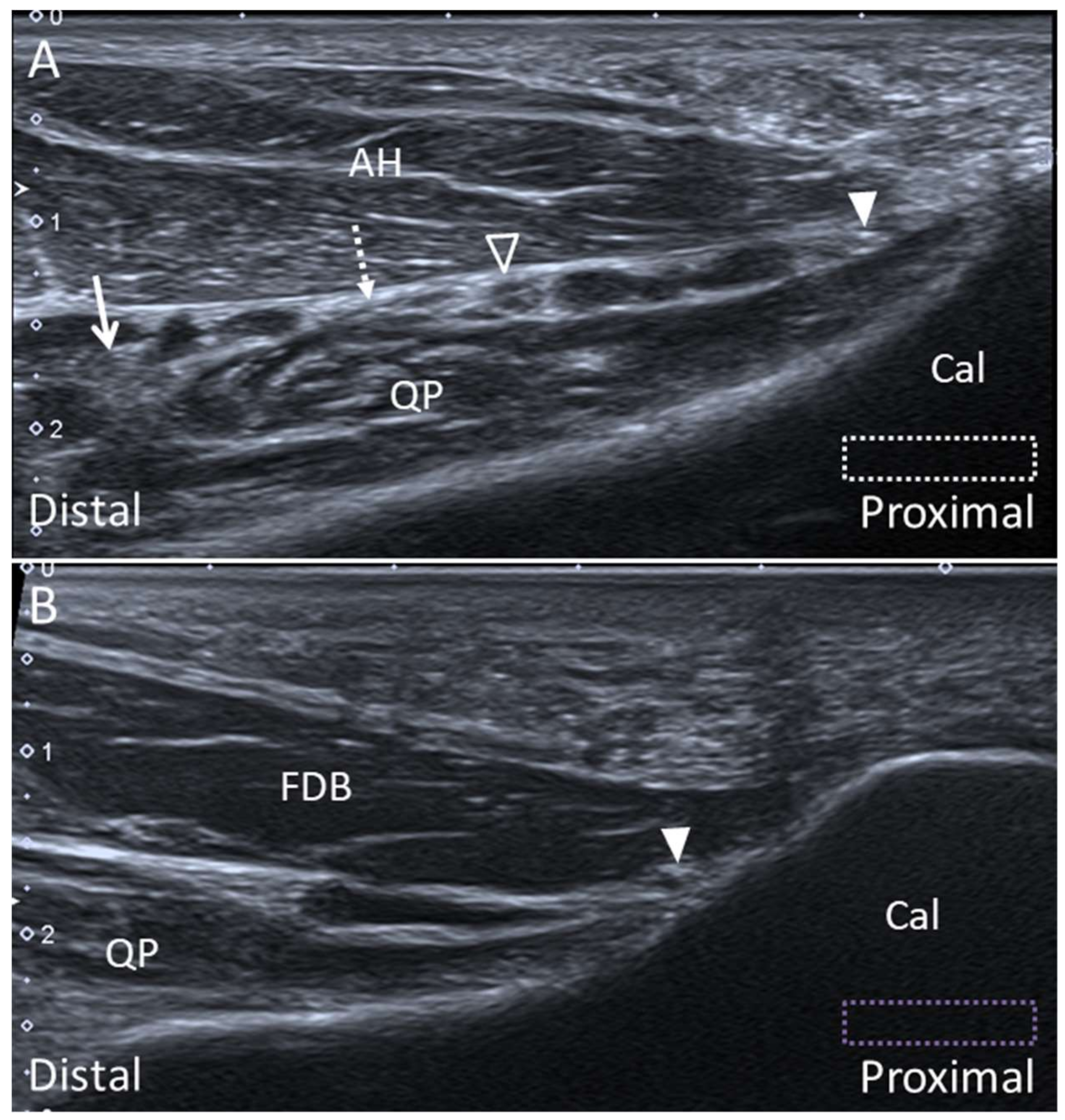 Diagnostics 10 00160 g026 Diagnostics 10 00160 g026