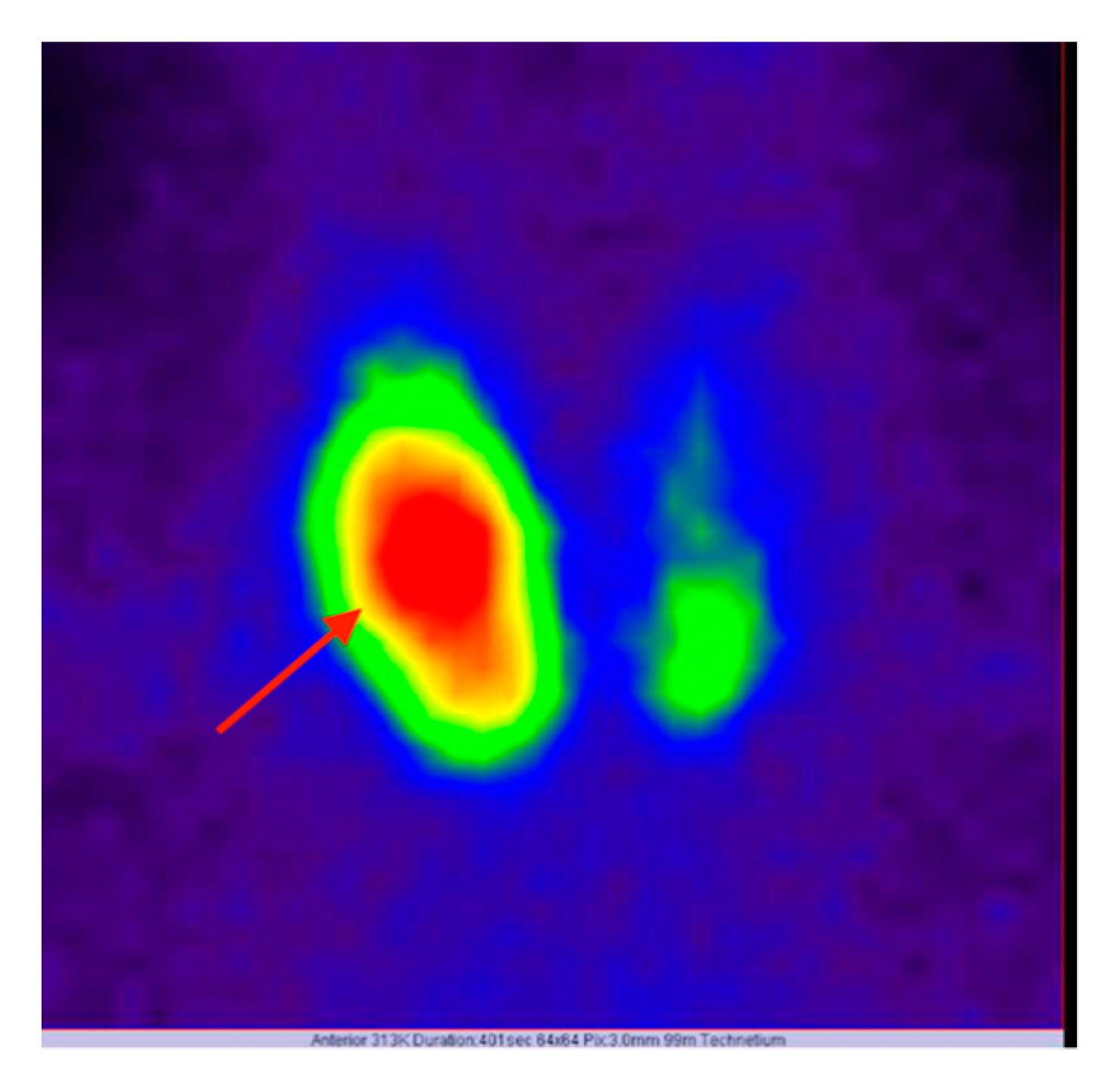 Diagnostics 10 00168 g001