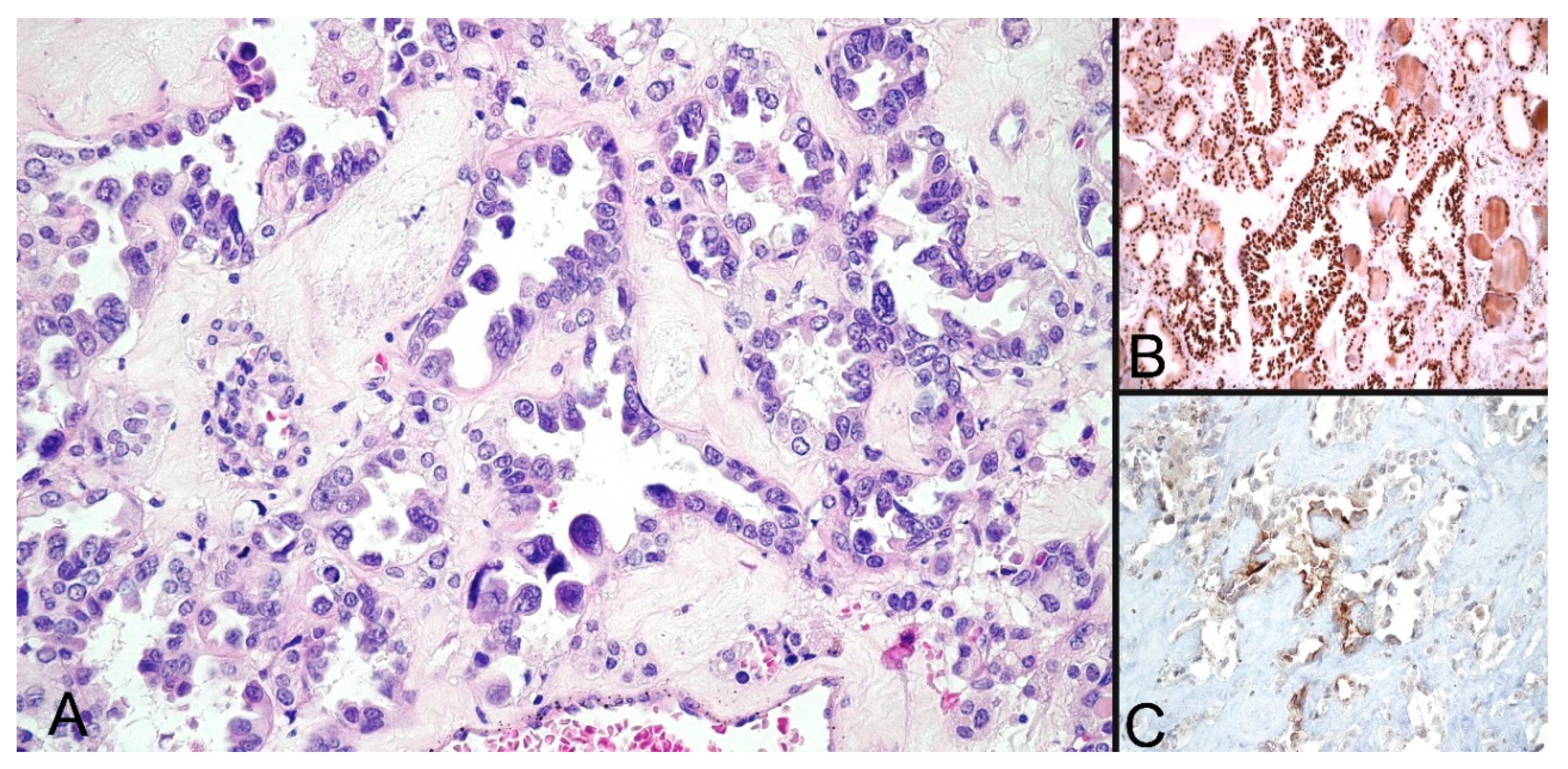 Diagnostics 10 00168 g002