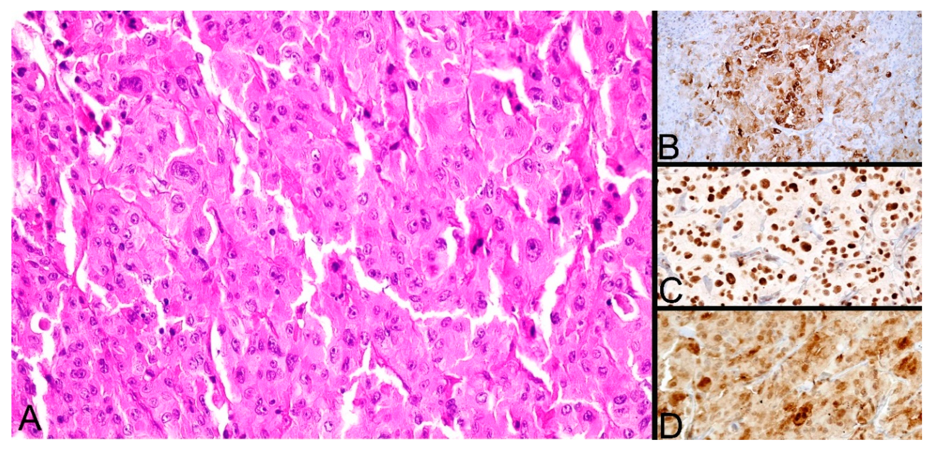 Diagnostics 10 00168 g003