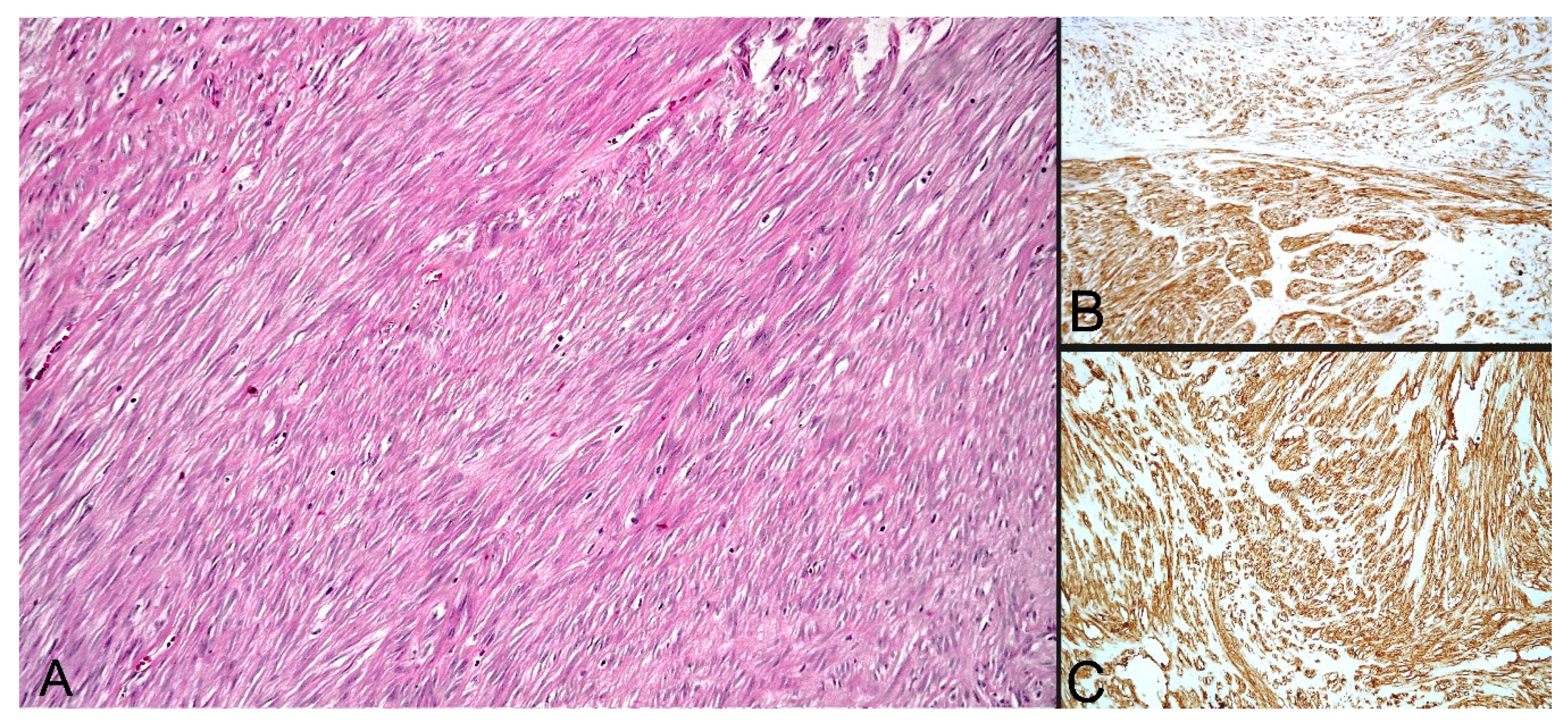 Diagnostics 10 00168 g004
