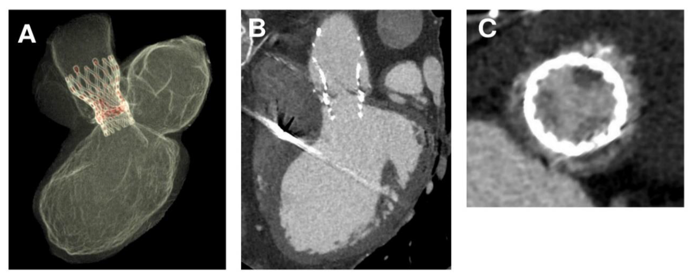 Diagnostics 10 00183 g007