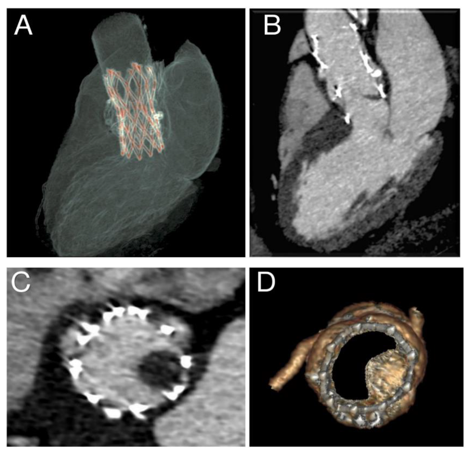 Diagnostics 10 00183 g008
