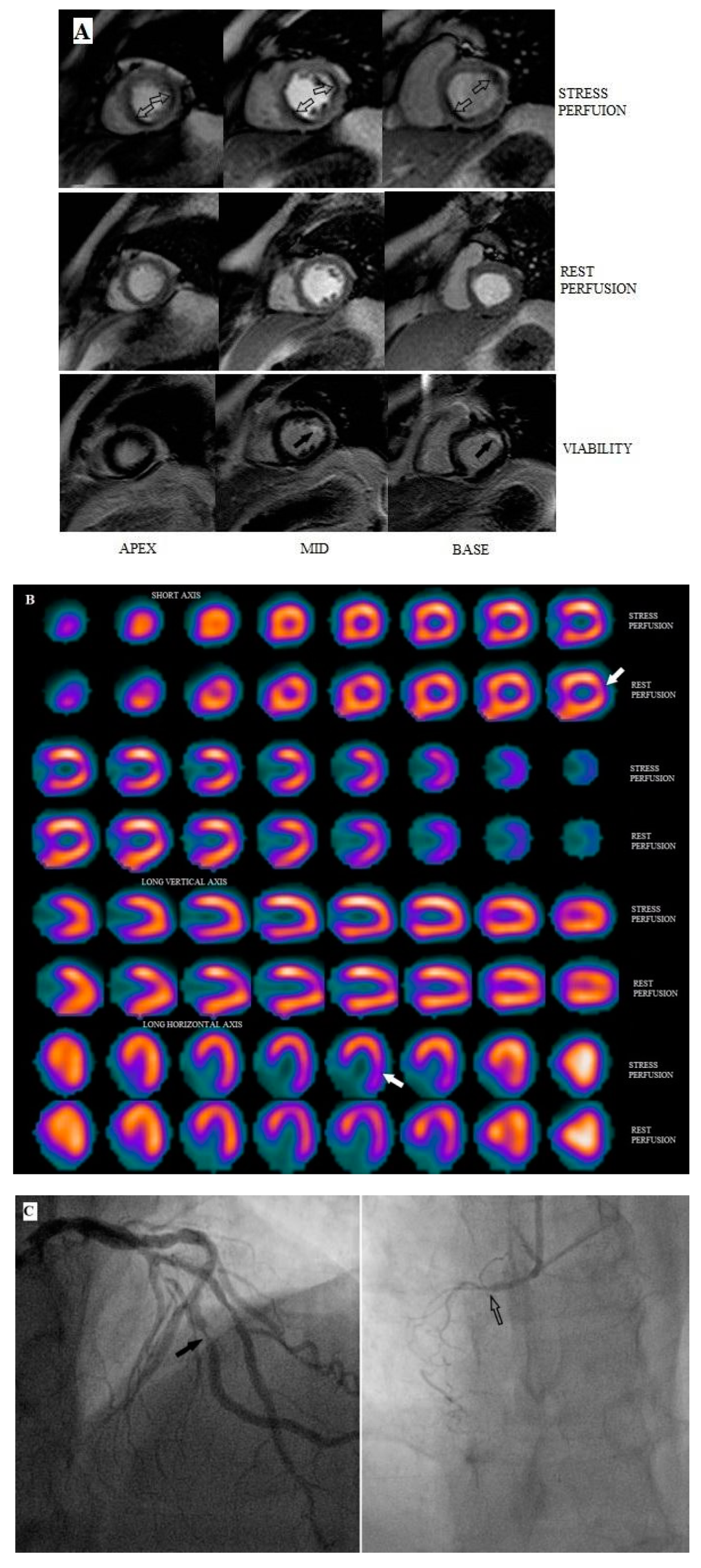 Diagnostics 10 00190 g001 Diagnostics 10 00190 g001