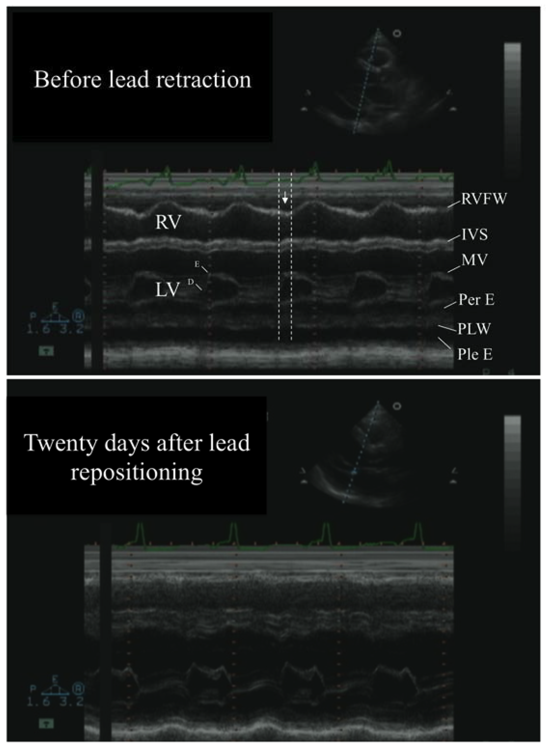 Diagnostics 10 00191 g001