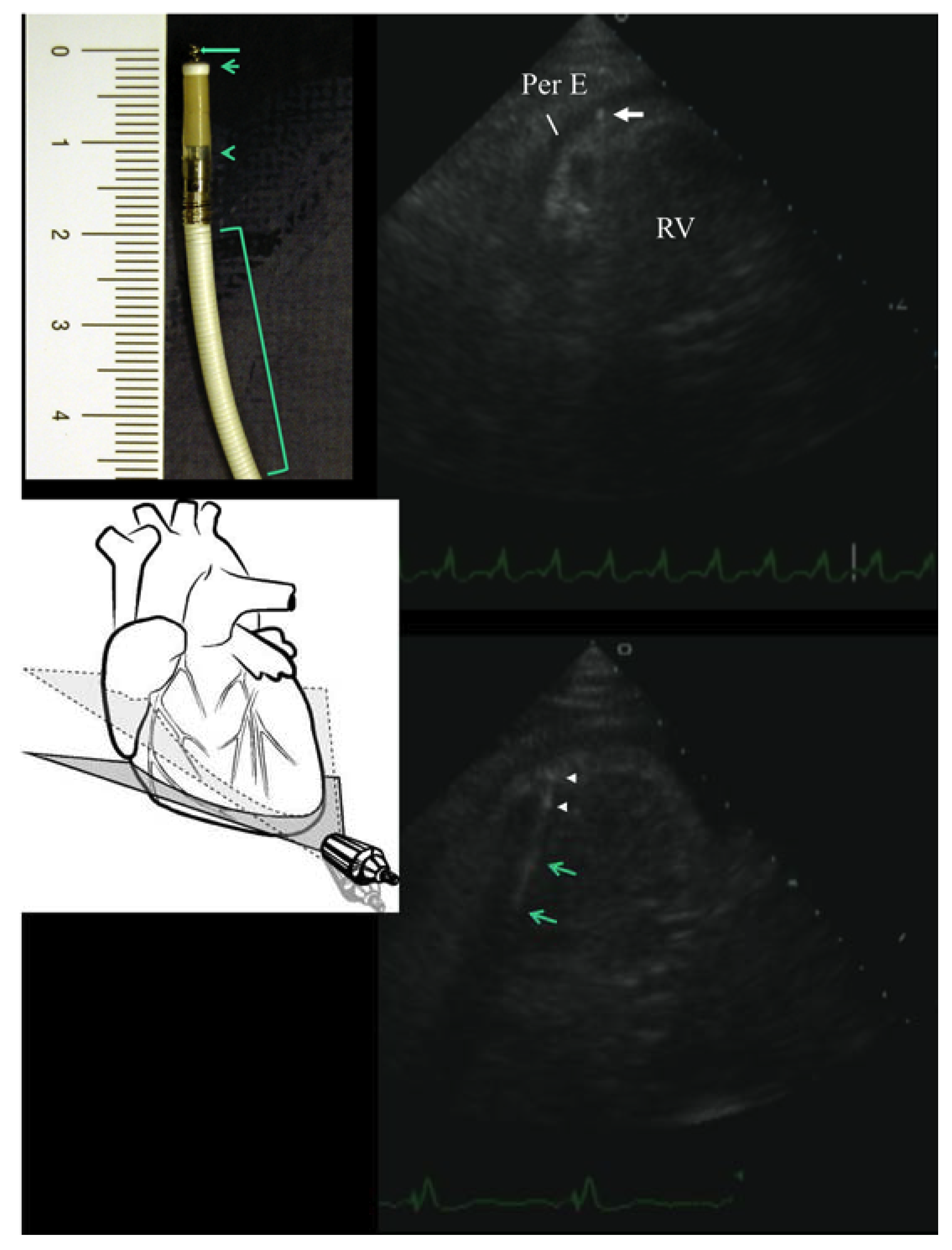 Diagnostics 10 00191 g002