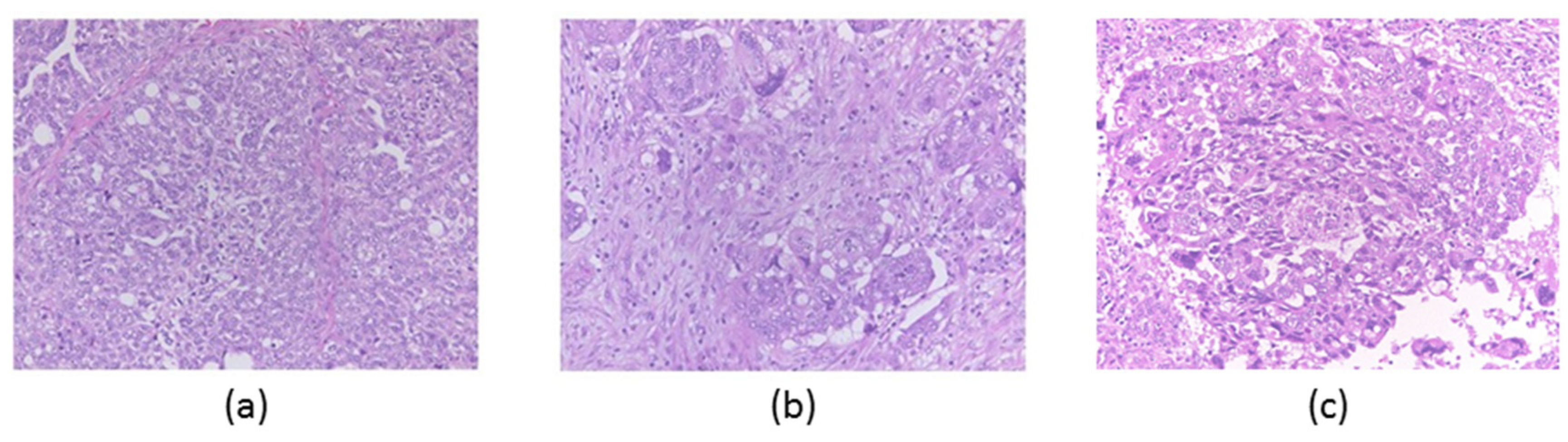 Diagnostics 10 00200 g001 Diagnostics 10 00200 g001