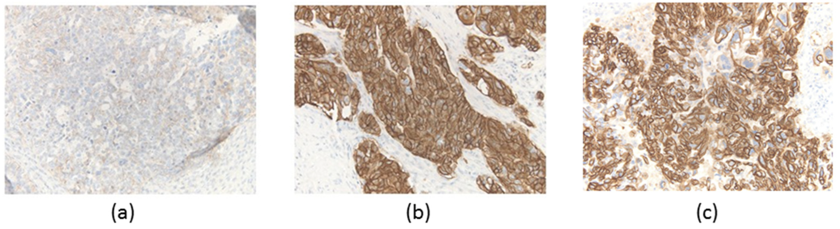 Diagnostics 10 00200 g003 Diagnostics 10 00200 g003