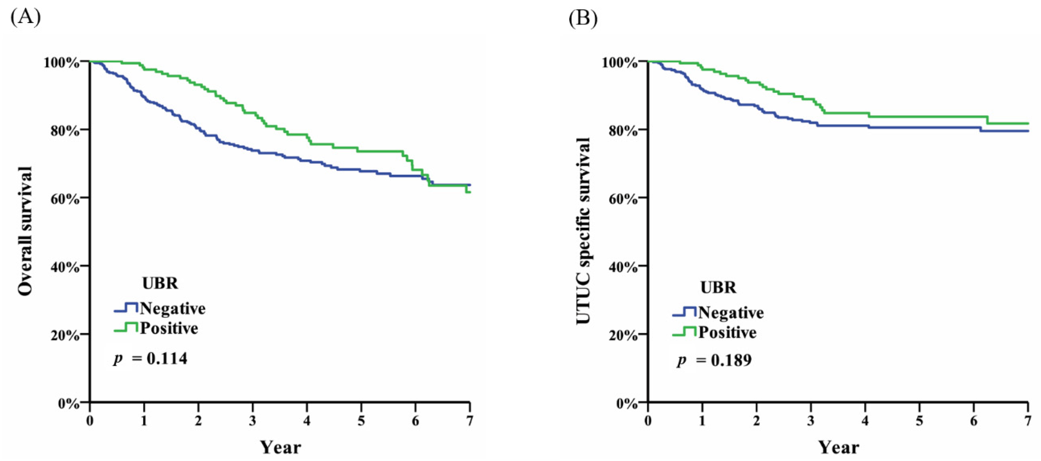 Diagnostics 10 00201 g001 Diagnostics 10 00201 g001