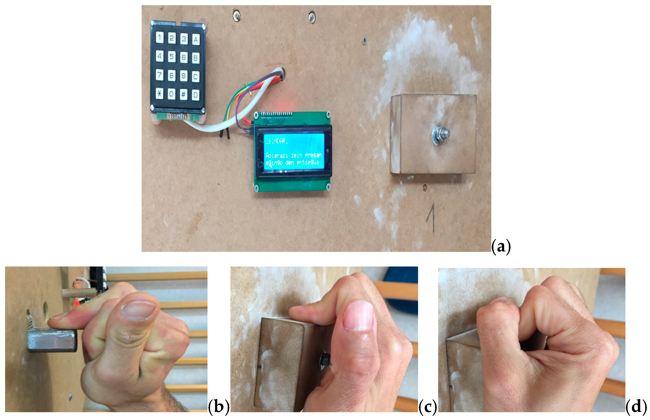 Diagnostics 10 00206 g002