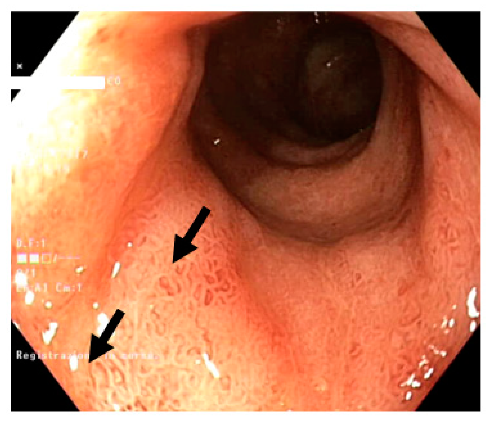 Diagnostics 10 00213 g002 Diagnostics 10 00213 g002