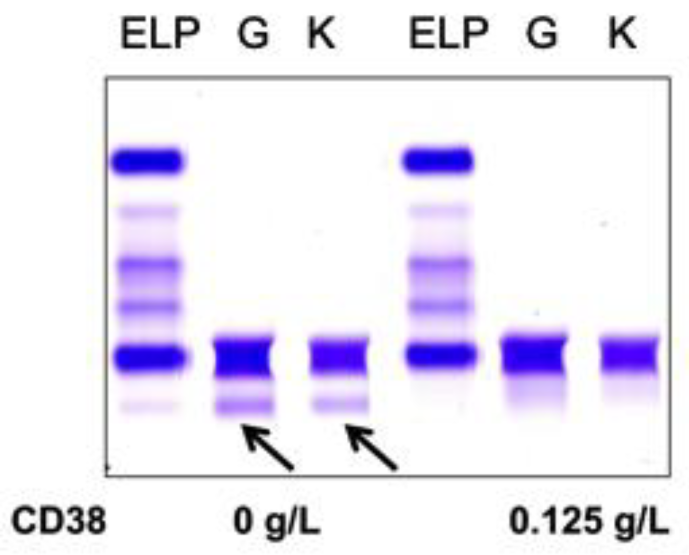 Diagnostics 10 00219 g005