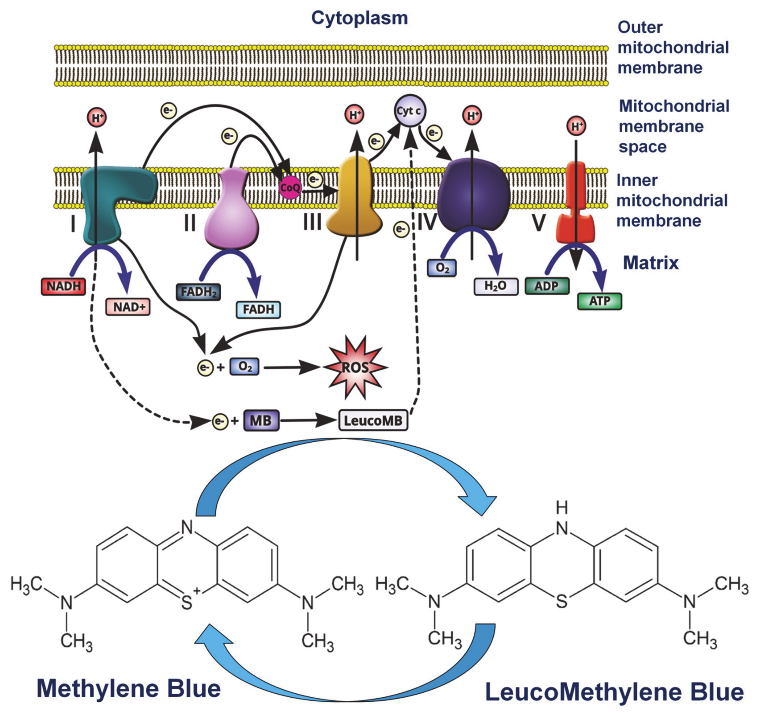 Diagnostics 10 00223 g002 Diagnostics 10 00223 g002