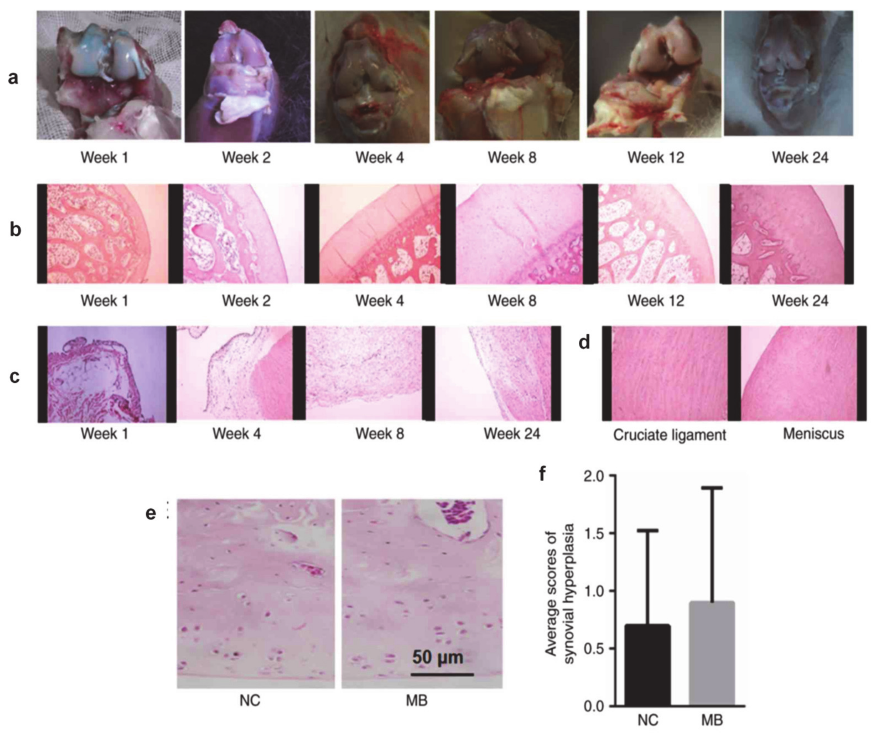 Diagnostics 10 00223 g005 Diagnostics 10 00223 g005