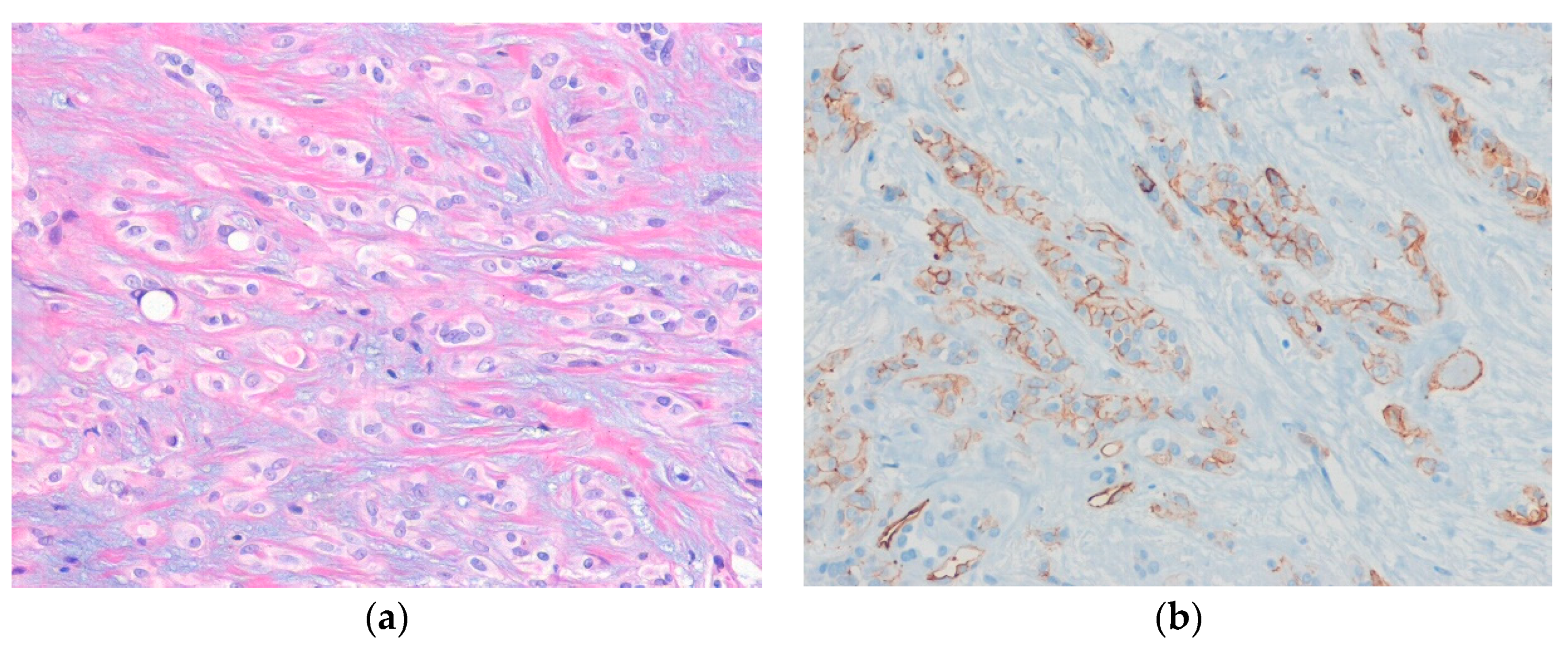 Diagnostics 10 00233 g003 Diagnostics 10 00233 g003