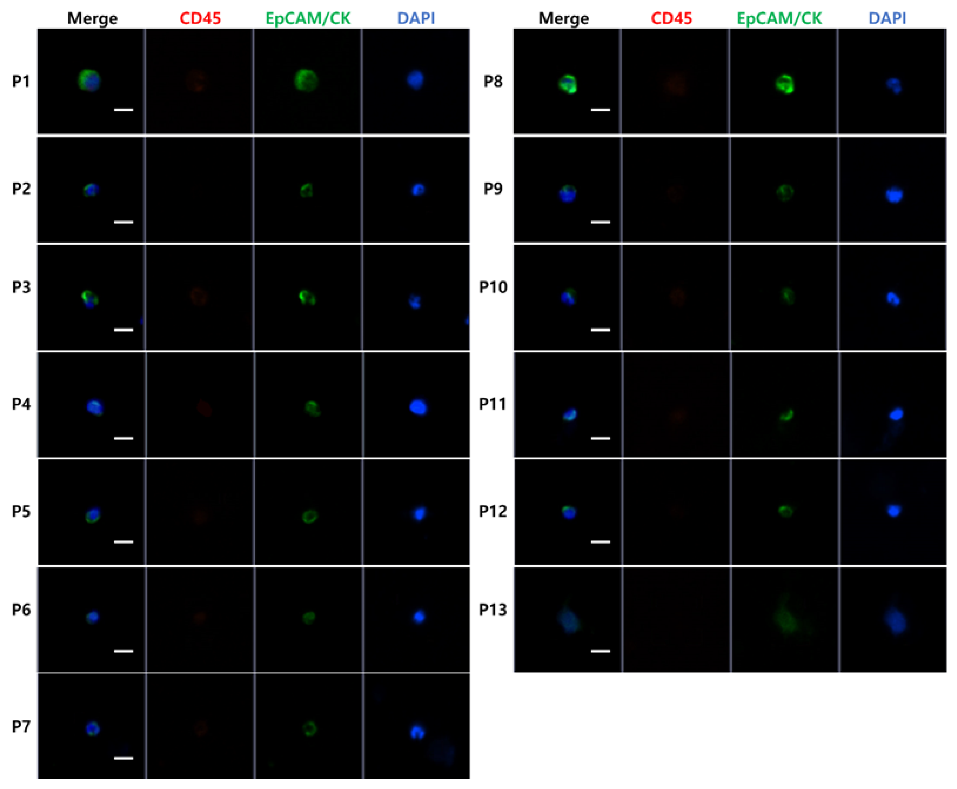 Diagnostics 10 00249 g002 Diagnostics 10 00249 g002