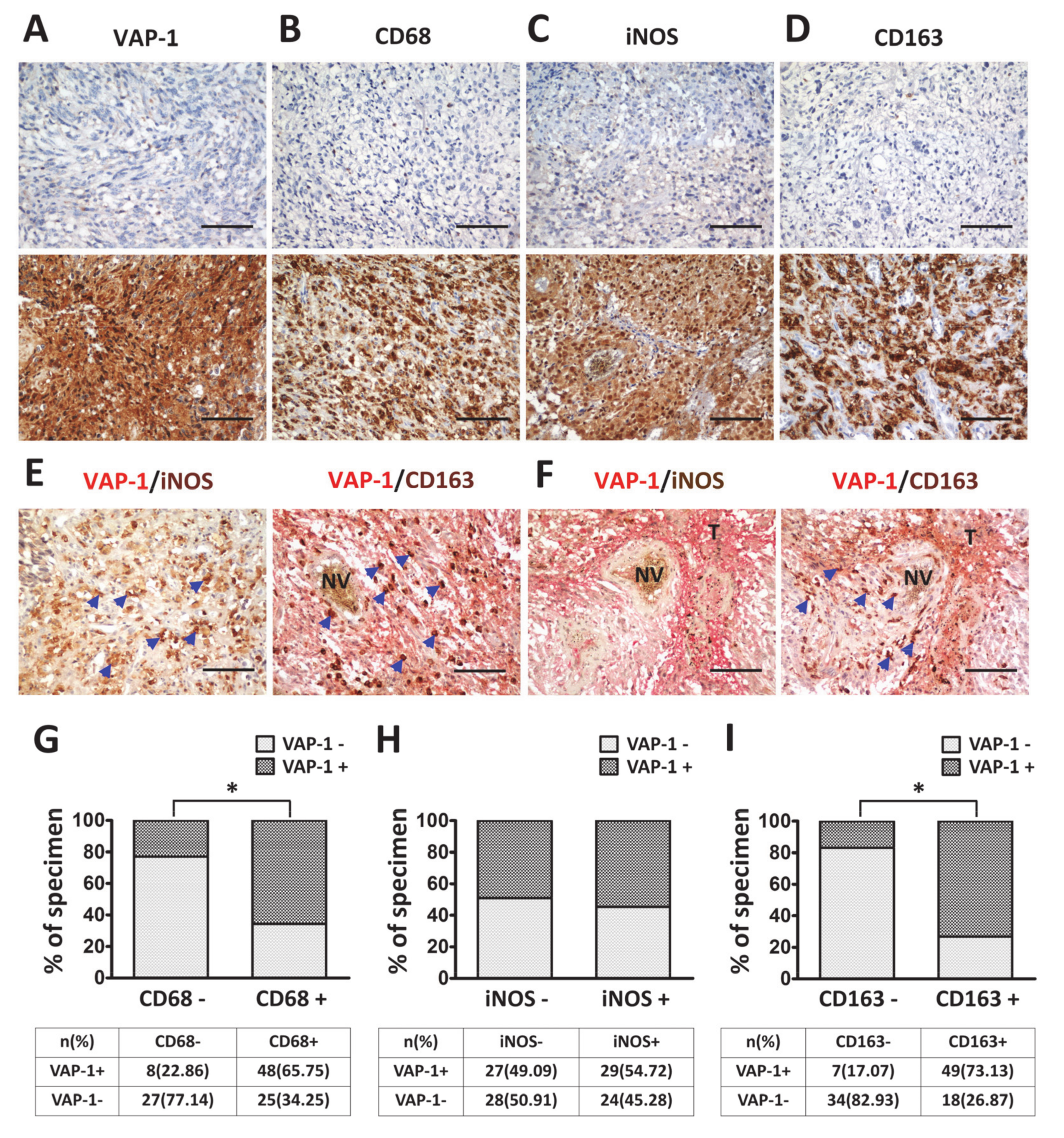 Diagnostics 10 00256 g002 Diagnostics 10 00256 g002