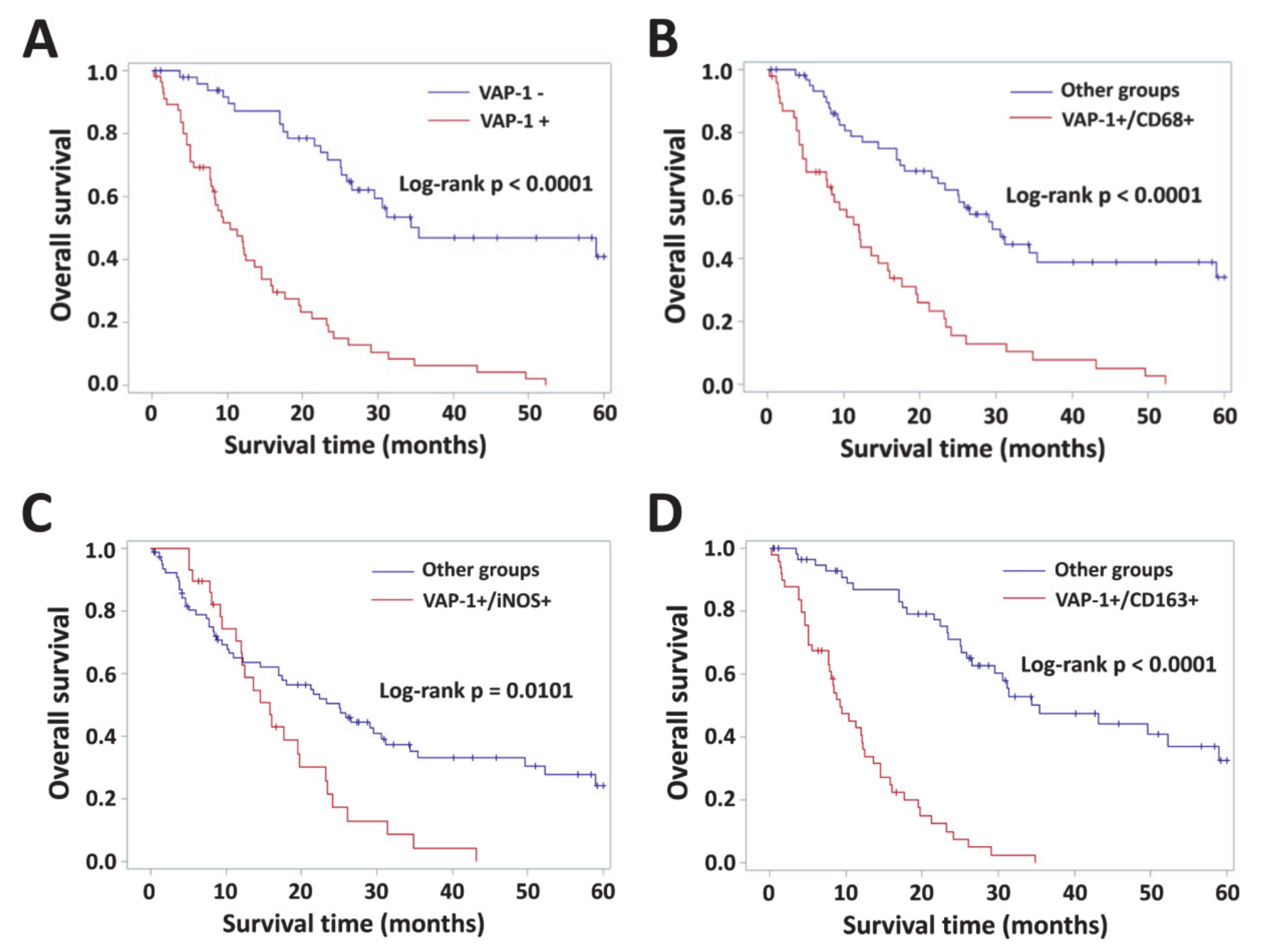 Diagnostics 10 00256 g003 Diagnostics 10 00256 g003