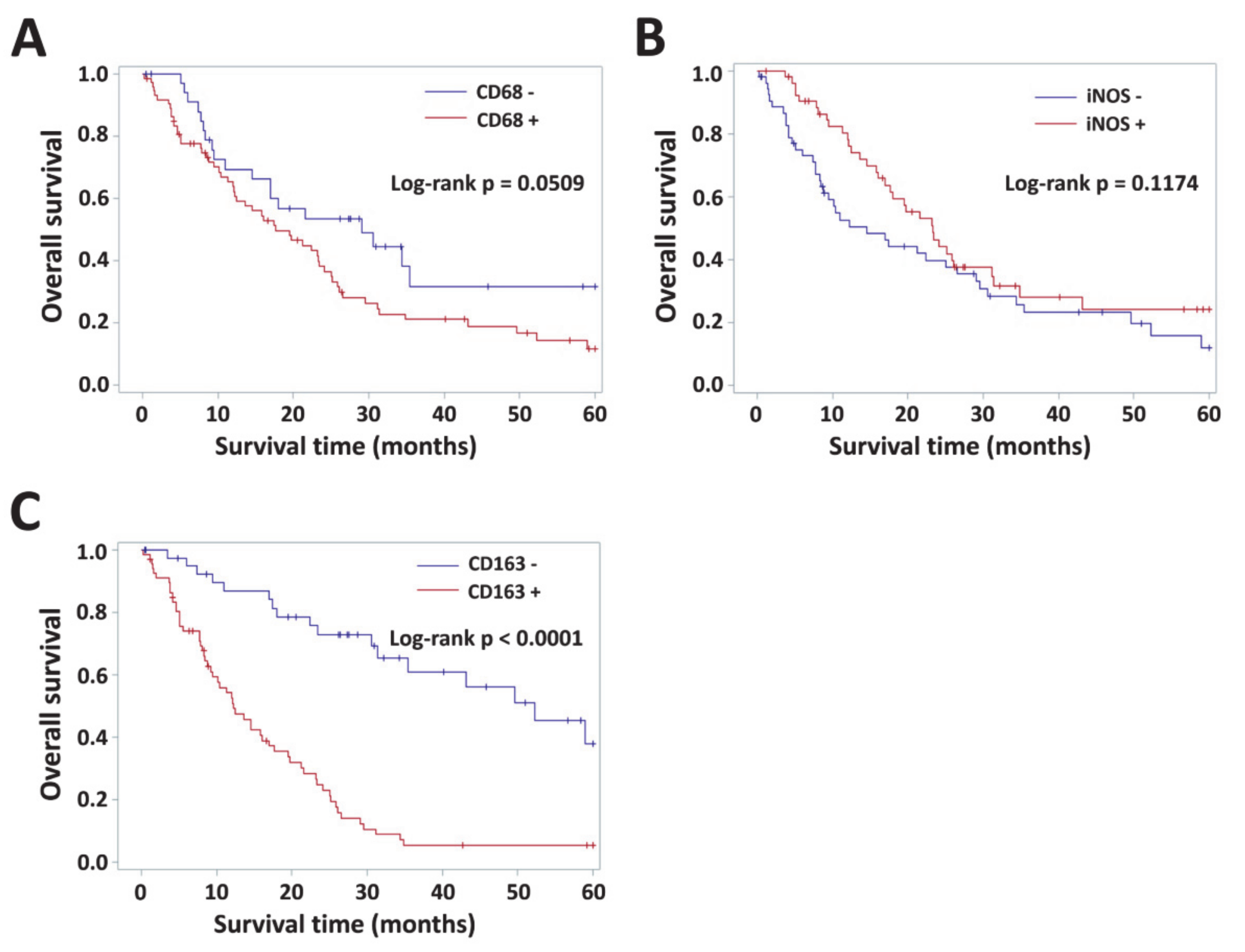 Diagnostics 10 00256 g0a1 Diagnostics 10 00256 g0a1
