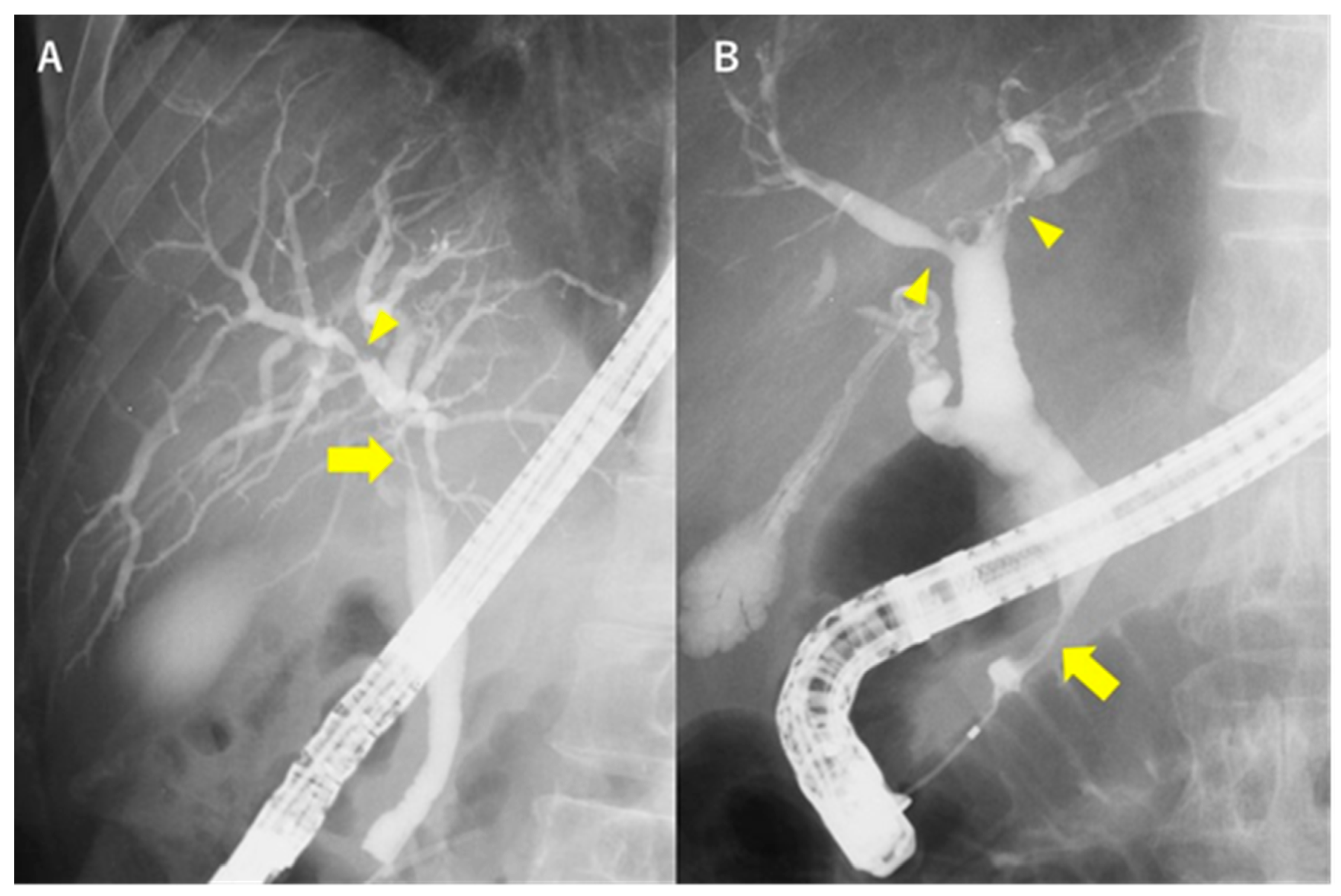 Diagnostics 10 00268 g002 Diagnostics 10 00268 g002