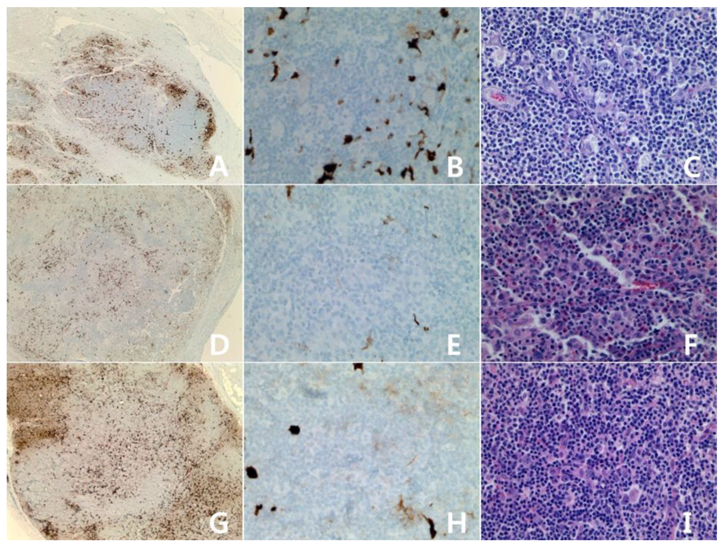 Diagnostics 10 00275 g002 Diagnostics 10 00275 g002