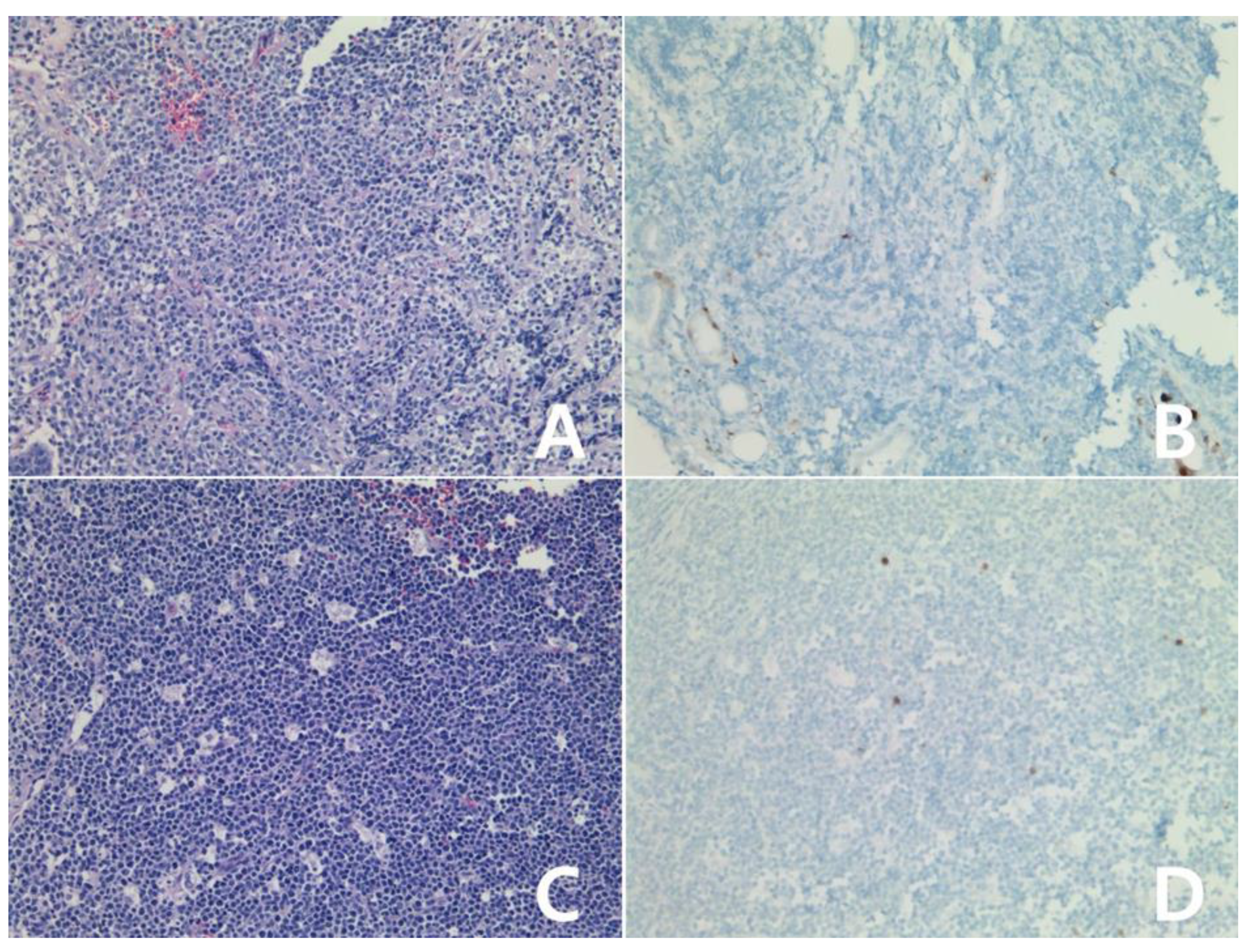 Diagnostics 10 00275 g006 Diagnostics 10 00275 g006