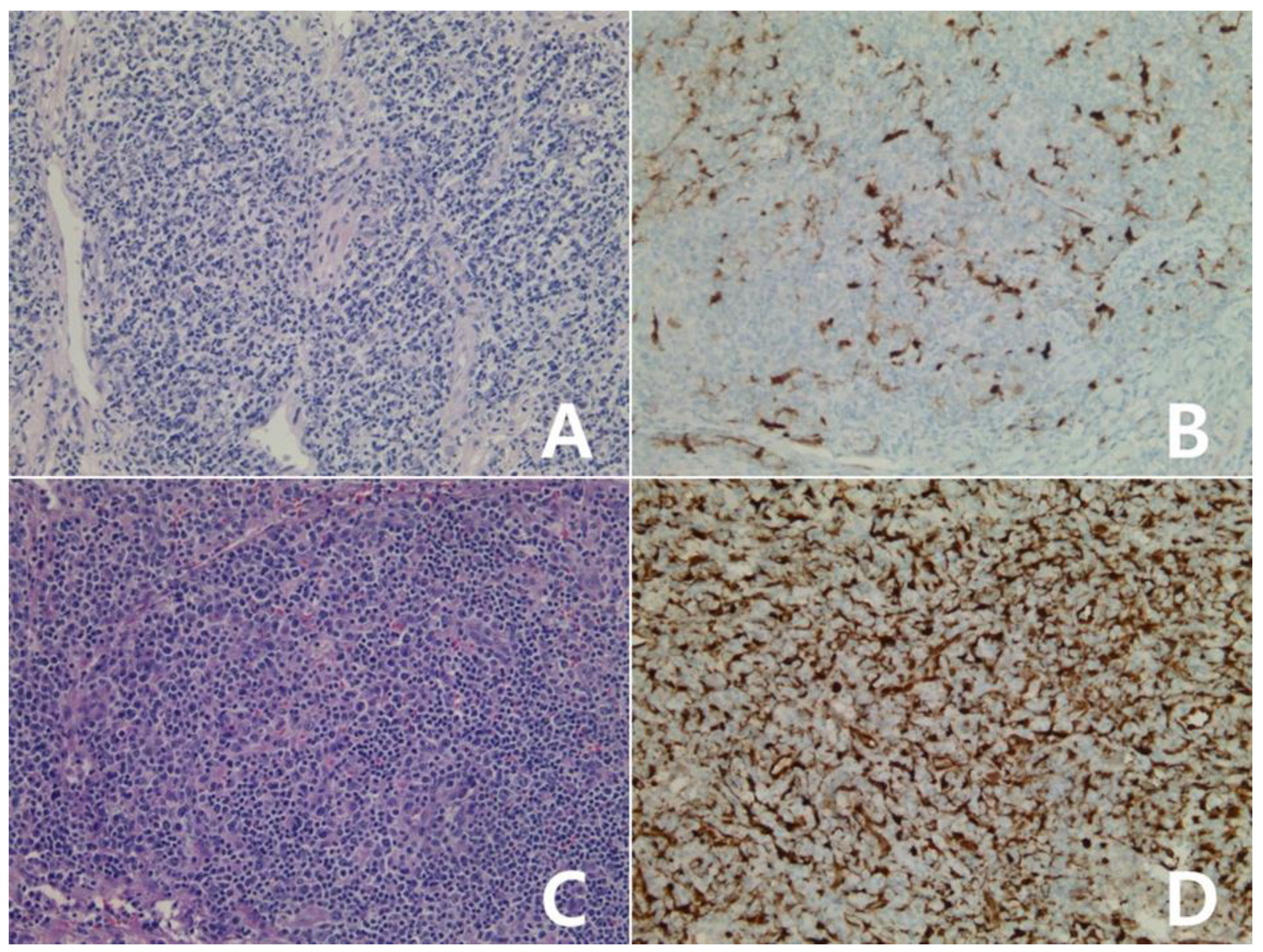 Diagnostics 10 00275 g009 Diagnostics 10 00275 g009