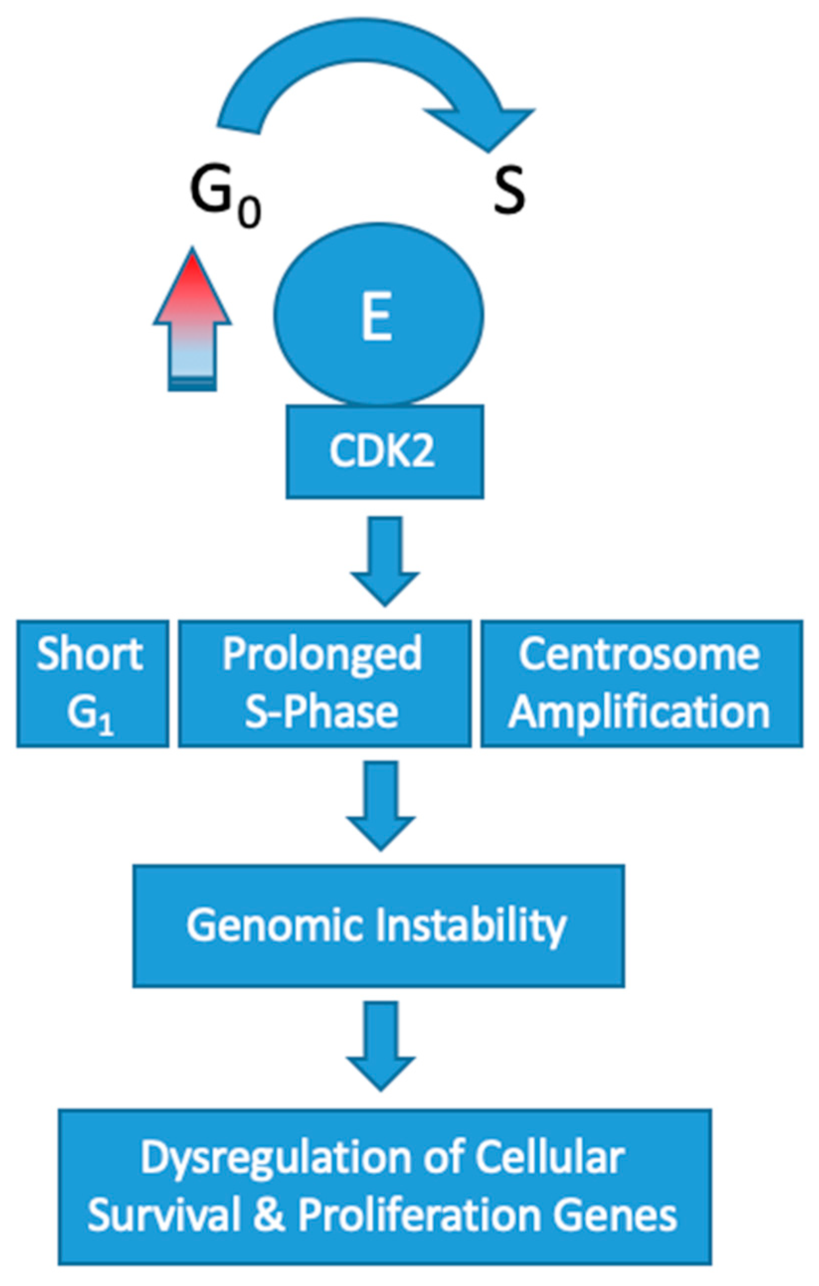 Diagnostics 10 00279 g002