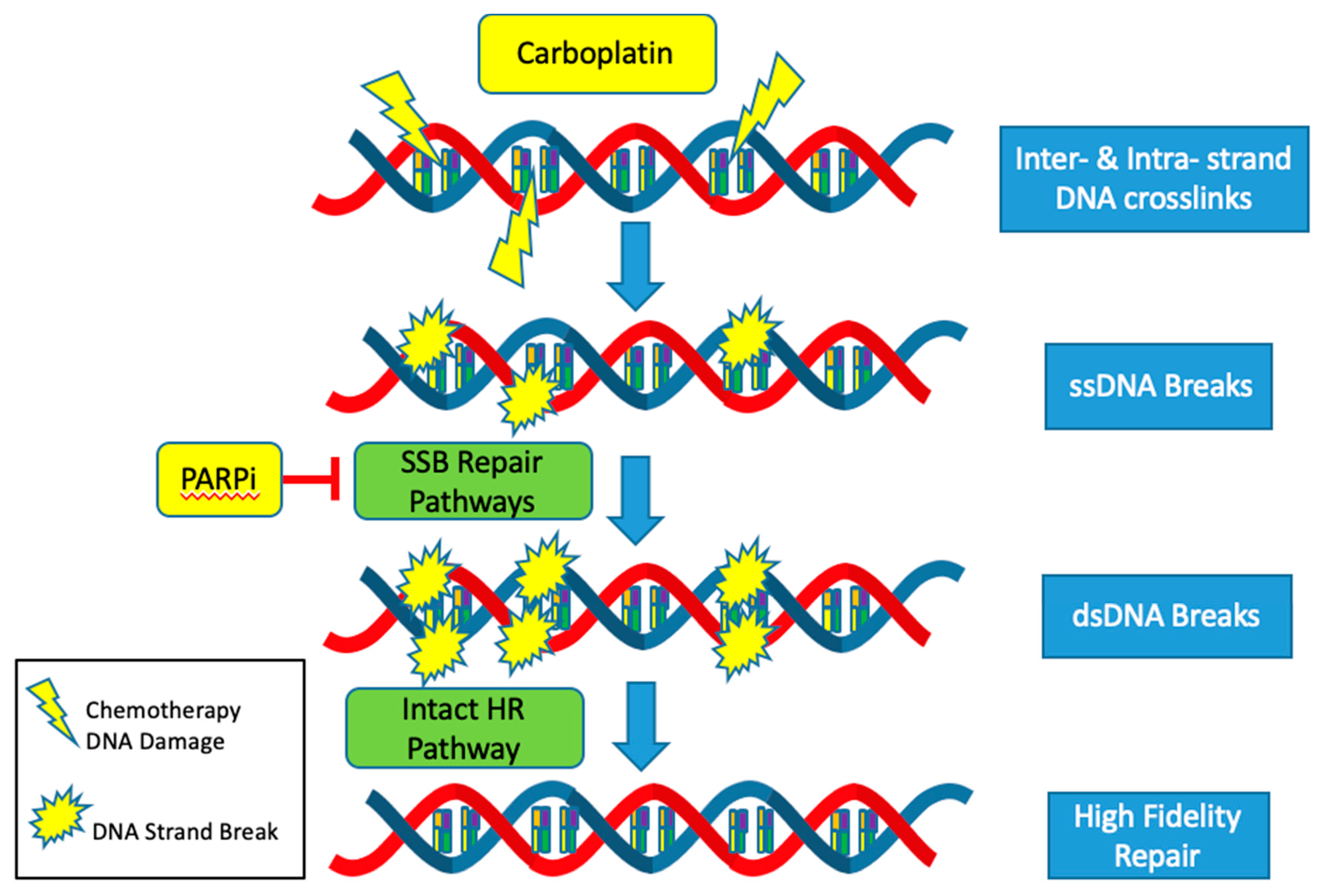Diagnostics 10 00279 g003