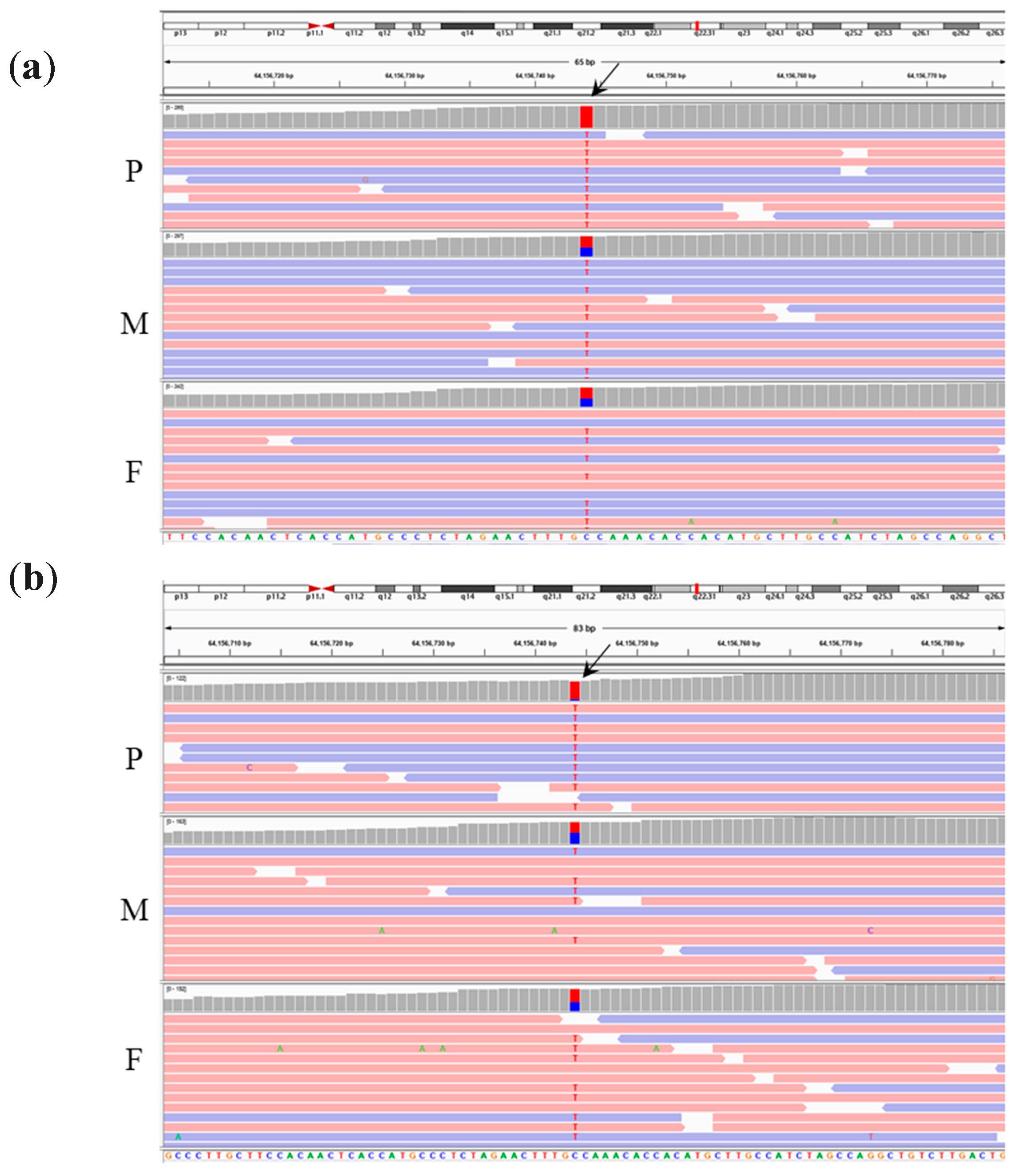 Diagnostics 10 00286 g004 Diagnostics 10 00286 g004