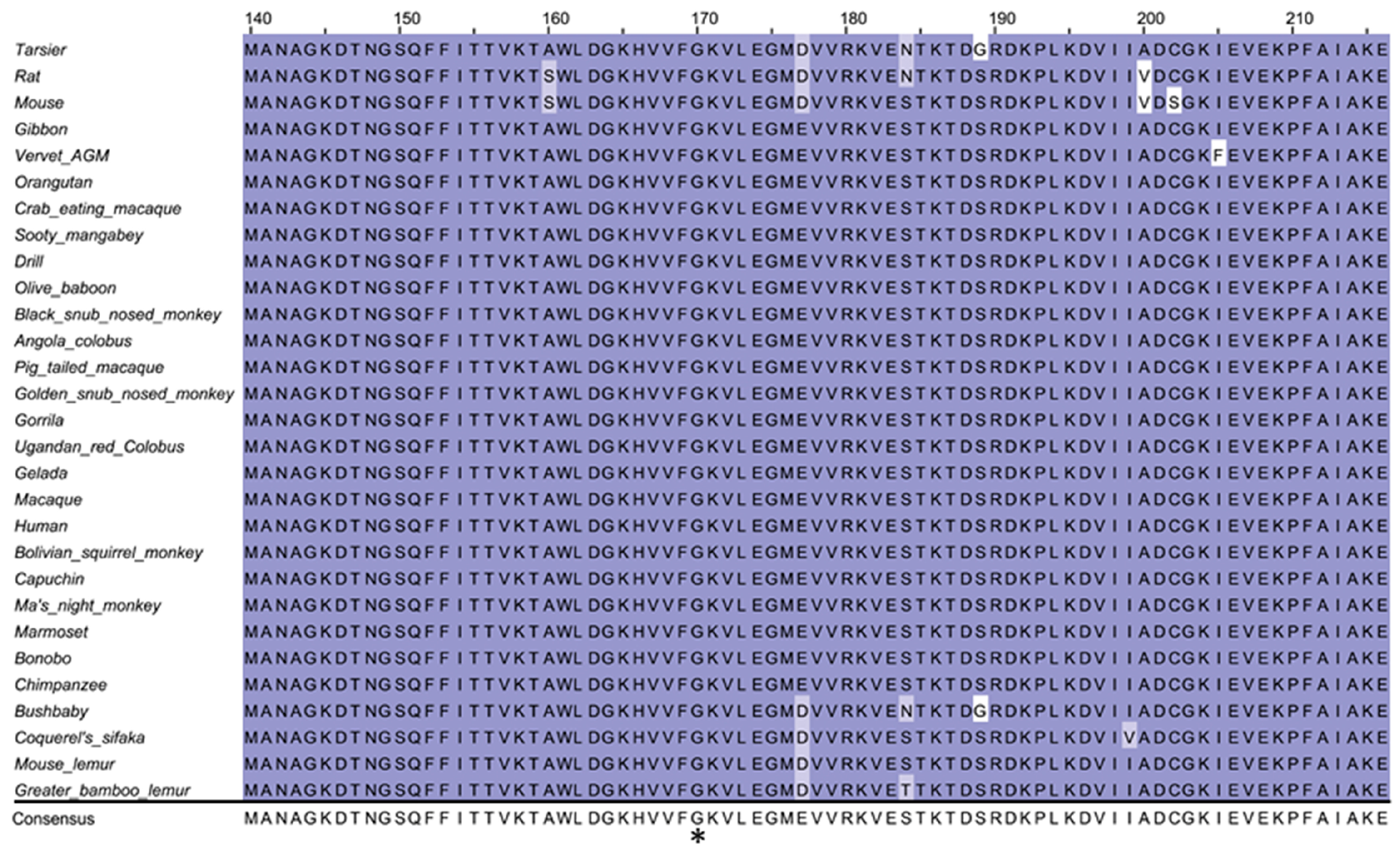 Diagnostics 10 00286 g005 Diagnostics 10 00286 g005