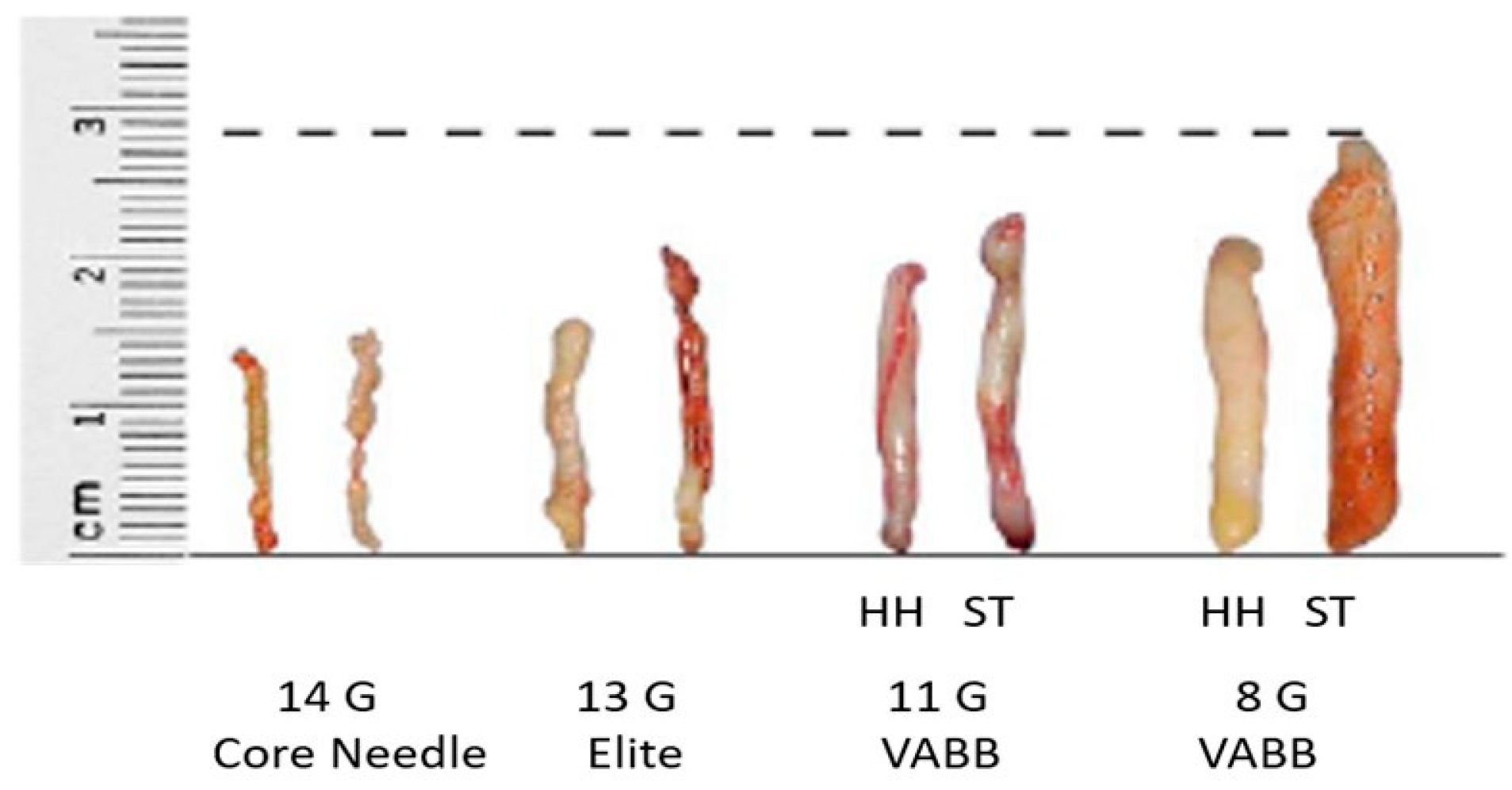 Diagnostics 10 00291 g004