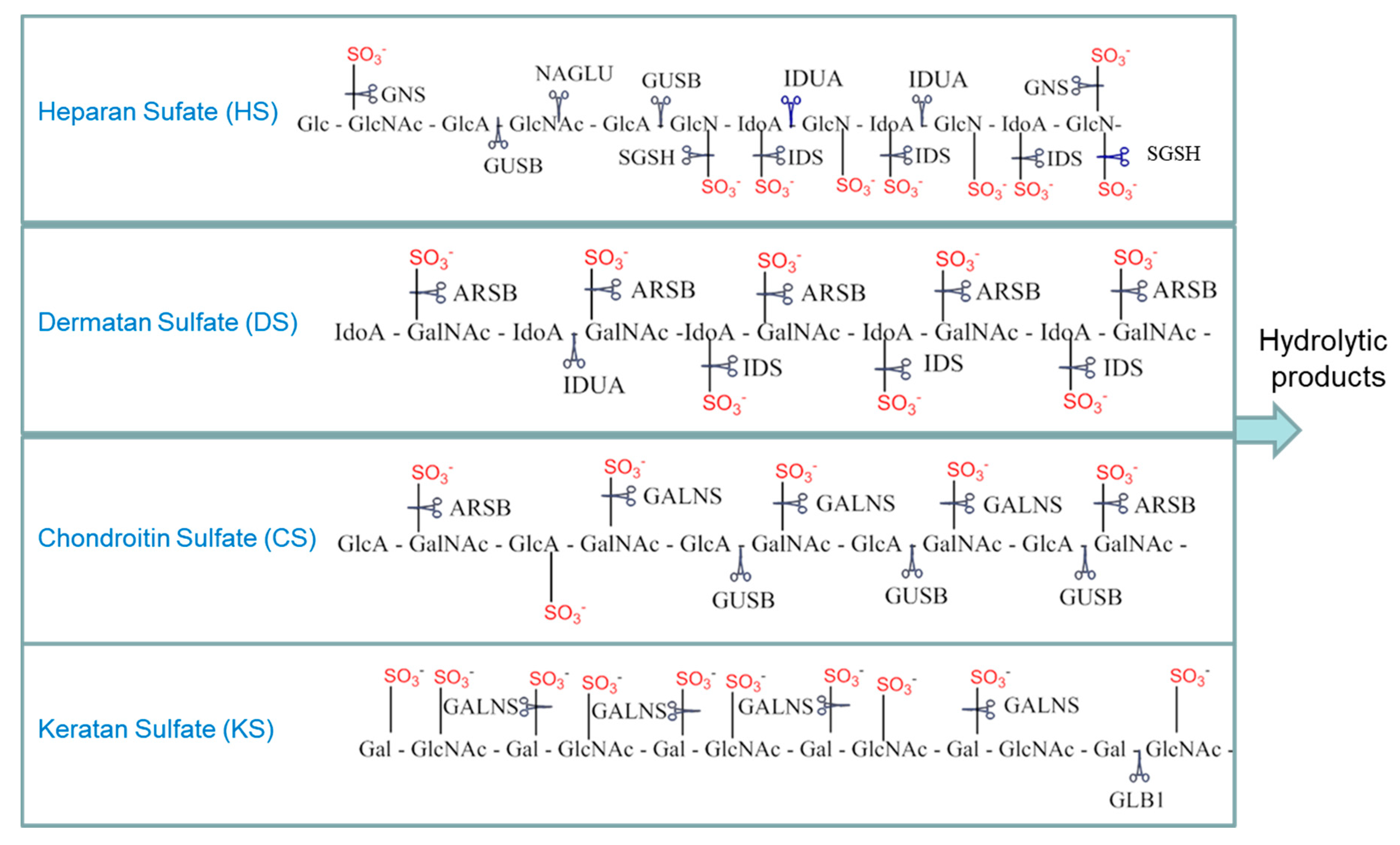 Diagnostics 10 00294 g001 Diagnostics 10 00294 g001