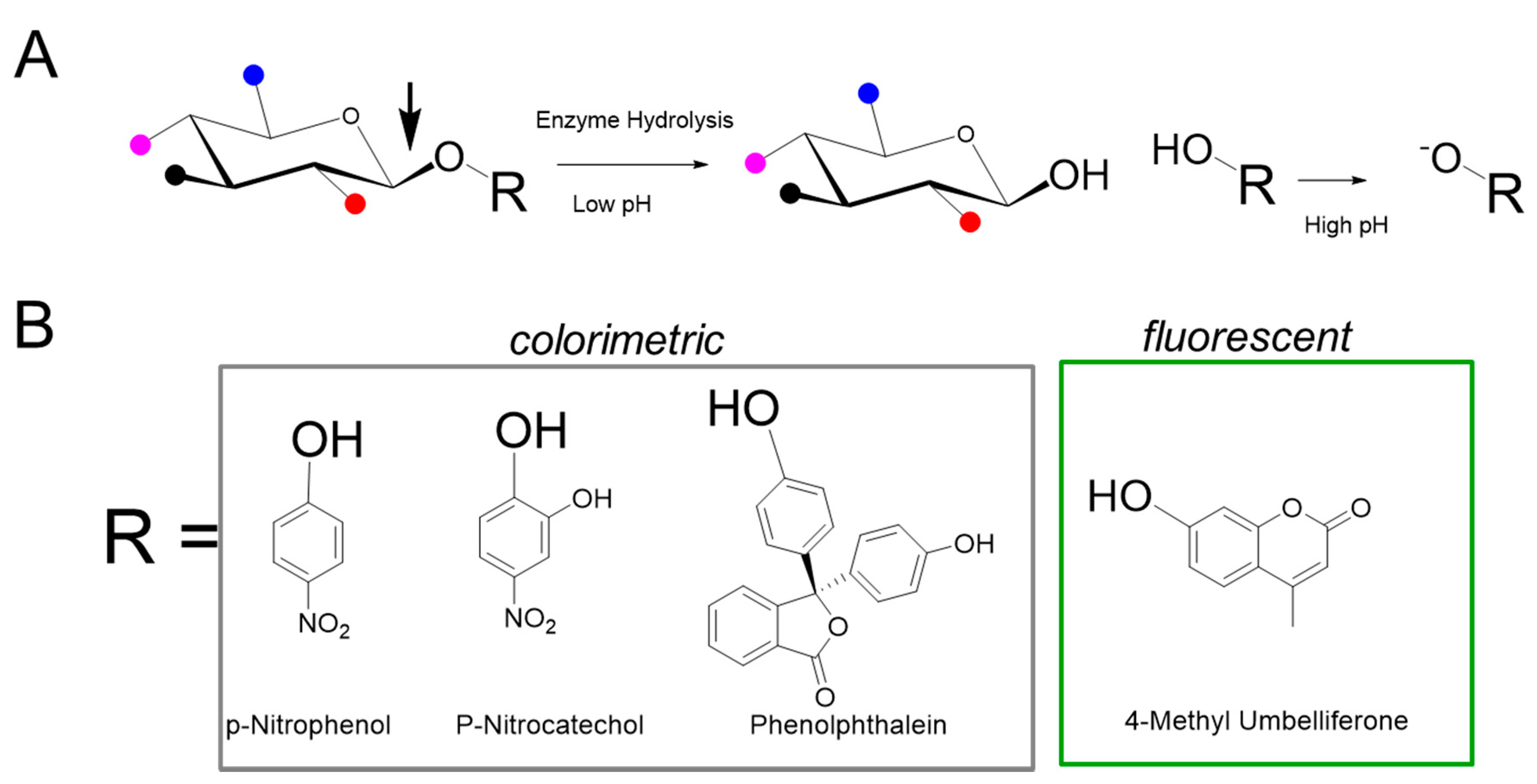 Diagnostics 10 00294 g002 Diagnostics 10 00294 g002