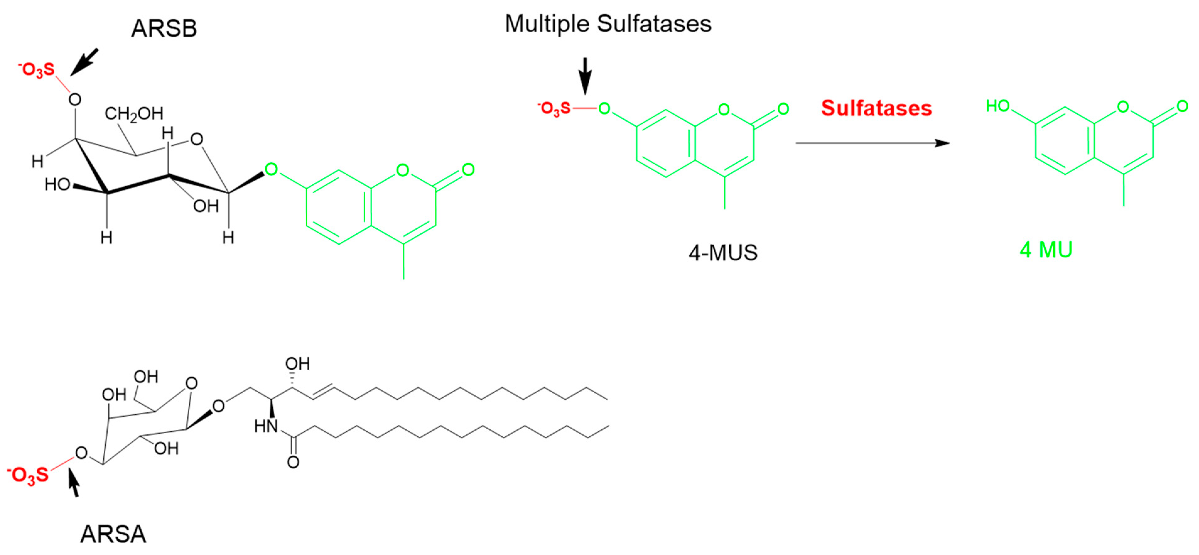 Diagnostics 10 00294 g006 Diagnostics 10 00294 g006
