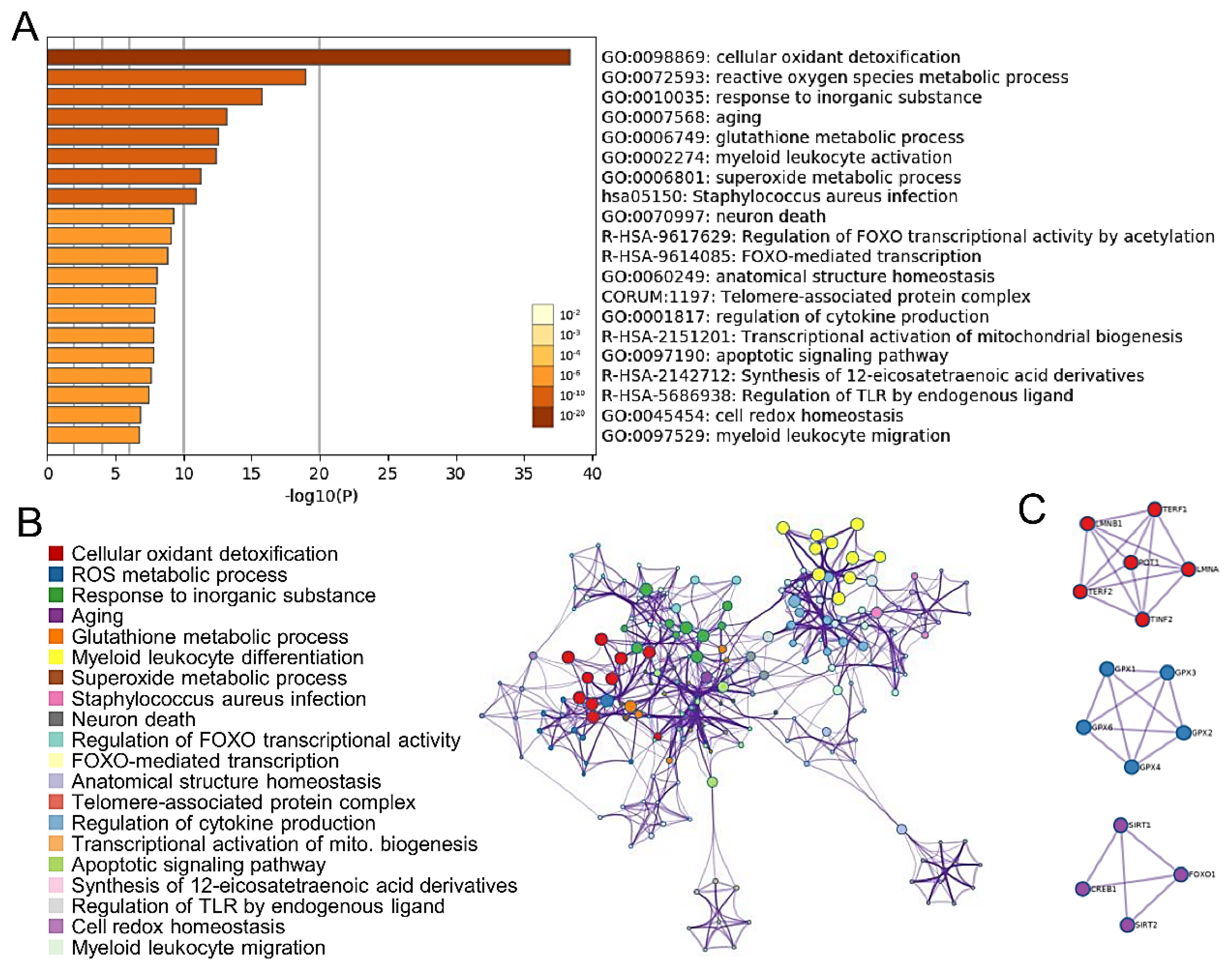 Diagnostics 10 00295 g001 Diagnostics 10 00295 g001