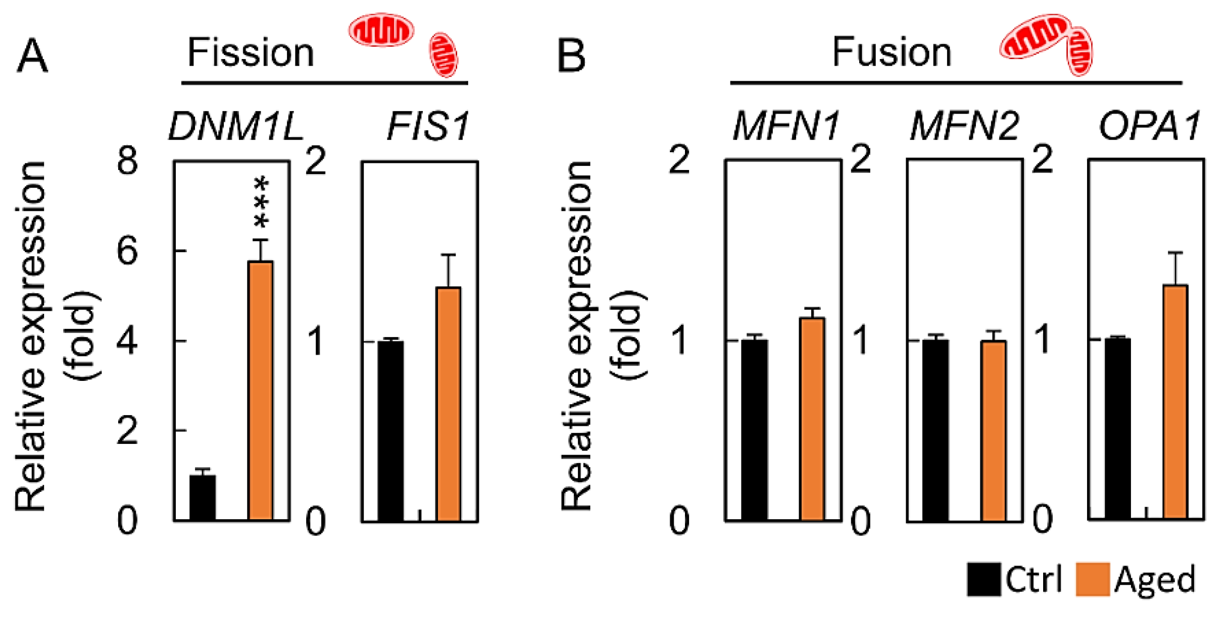 Diagnostics 10 00295 g005 Diagnostics 10 00295 g005