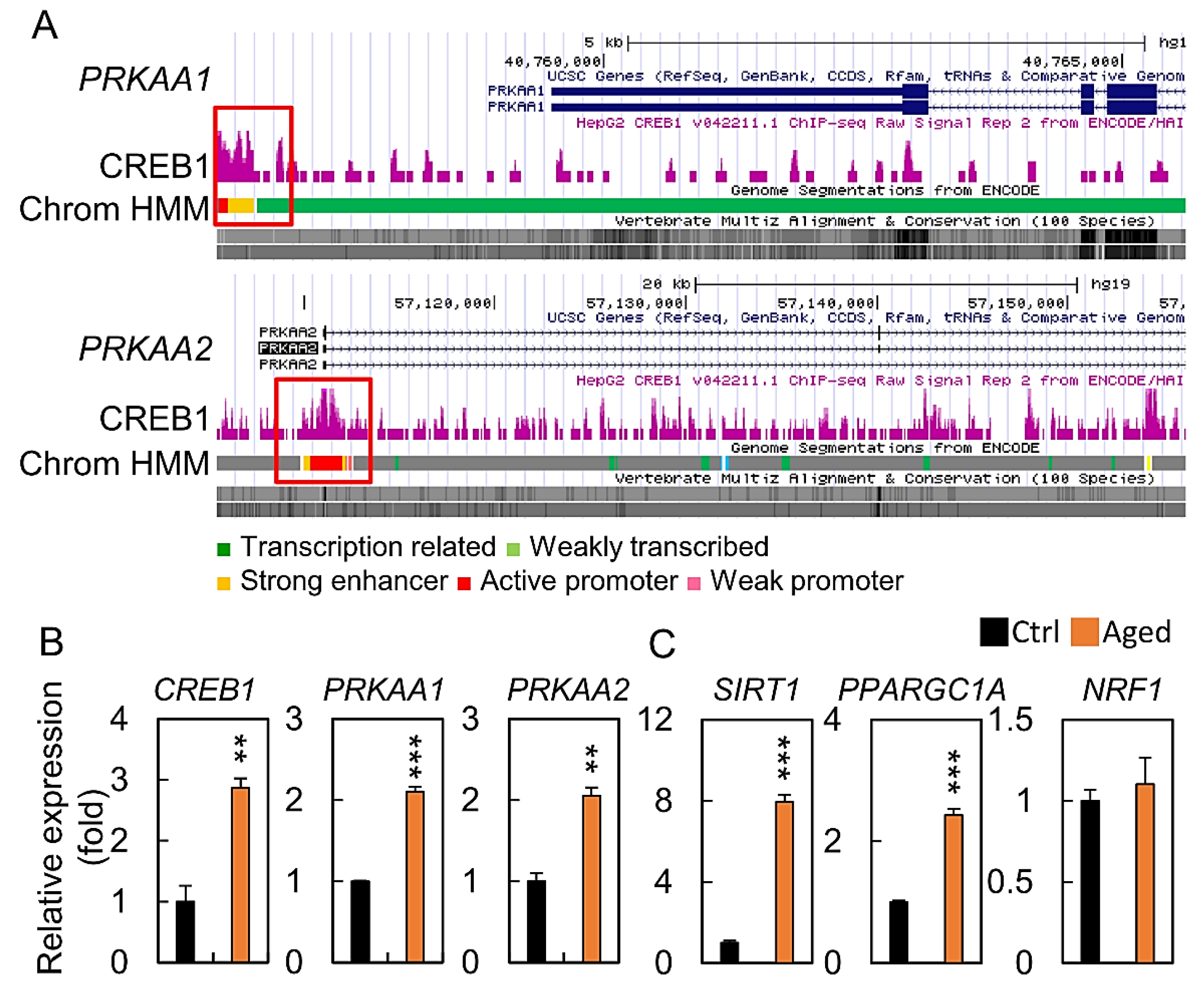 Diagnostics 10 00295 g007 Diagnostics 10 00295 g007