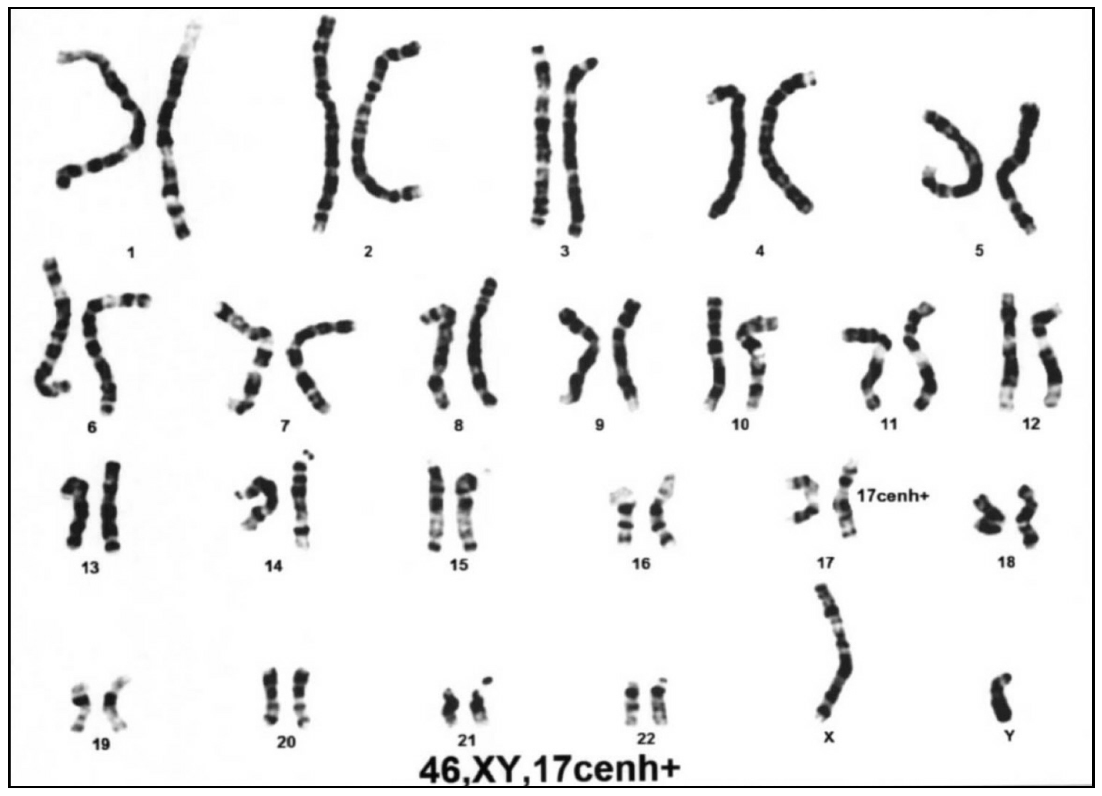 Diagnostics 10 00296 g002 Diagnostics 10 00296 g002