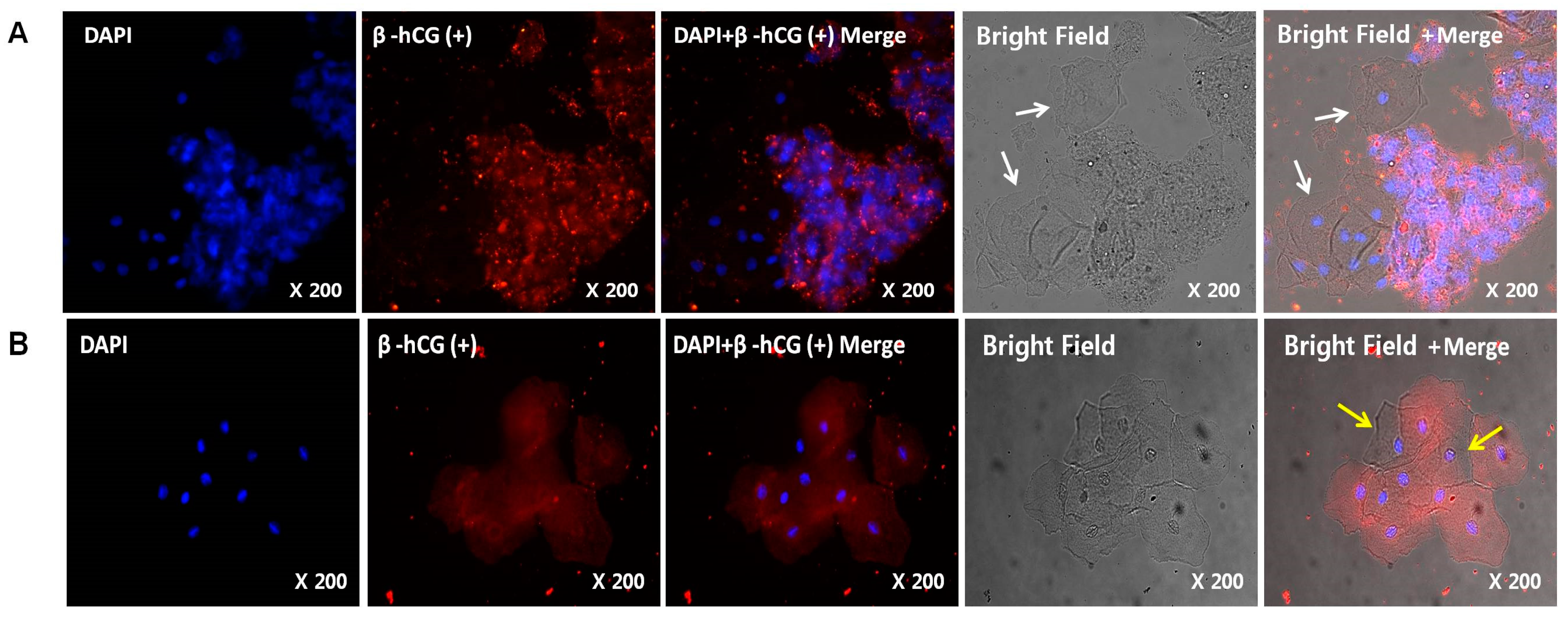 Diagnostics 10 00300 g002 Diagnostics 10 00300 g002